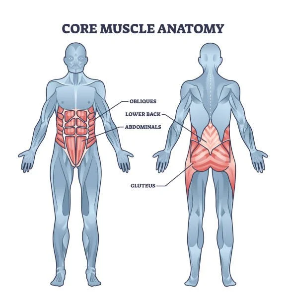 Core Stability vs Core Strength: Why a Strong Core Isn’t Always a Stable One