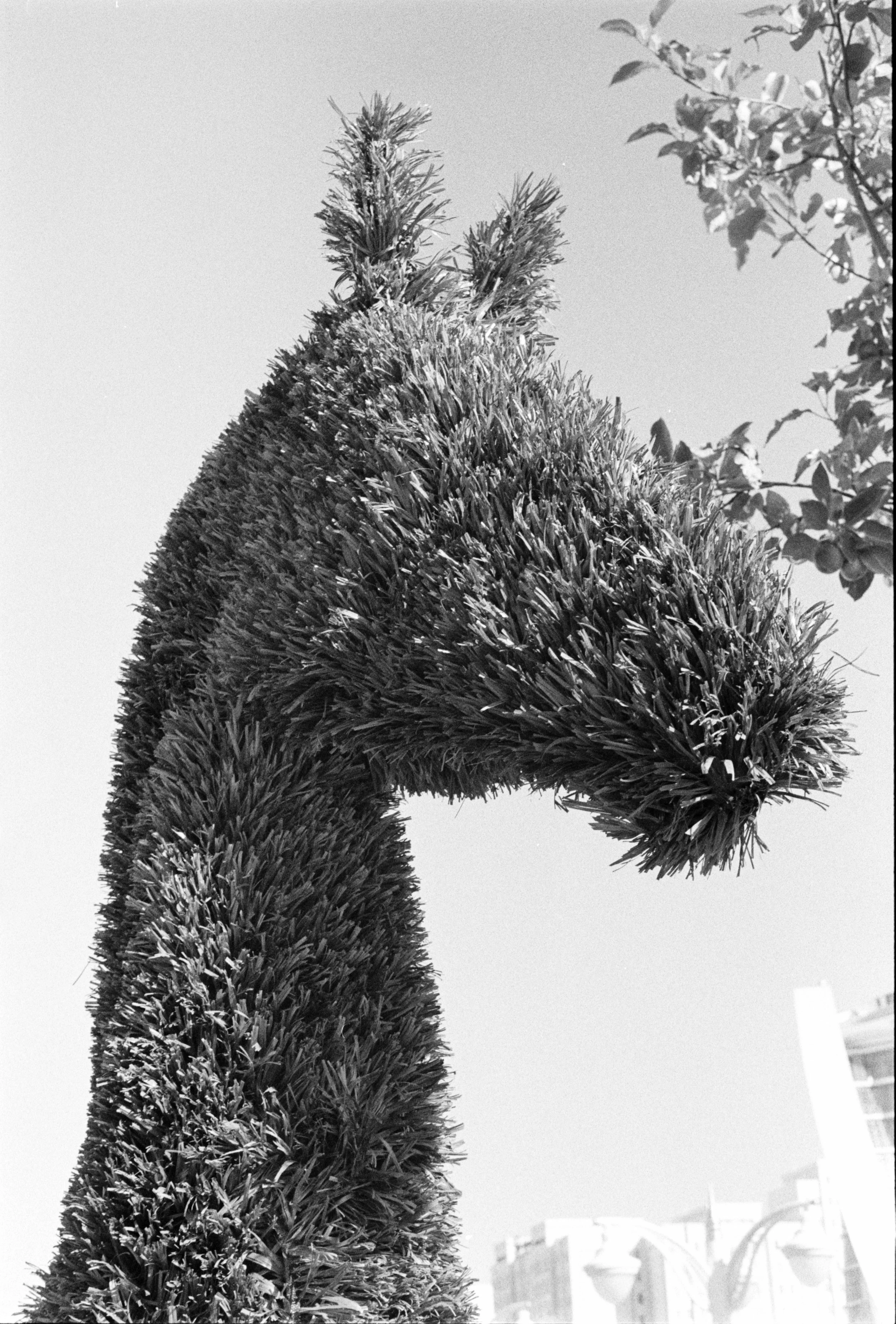 Turkmenistan_Postcards (9 van 30).jpg