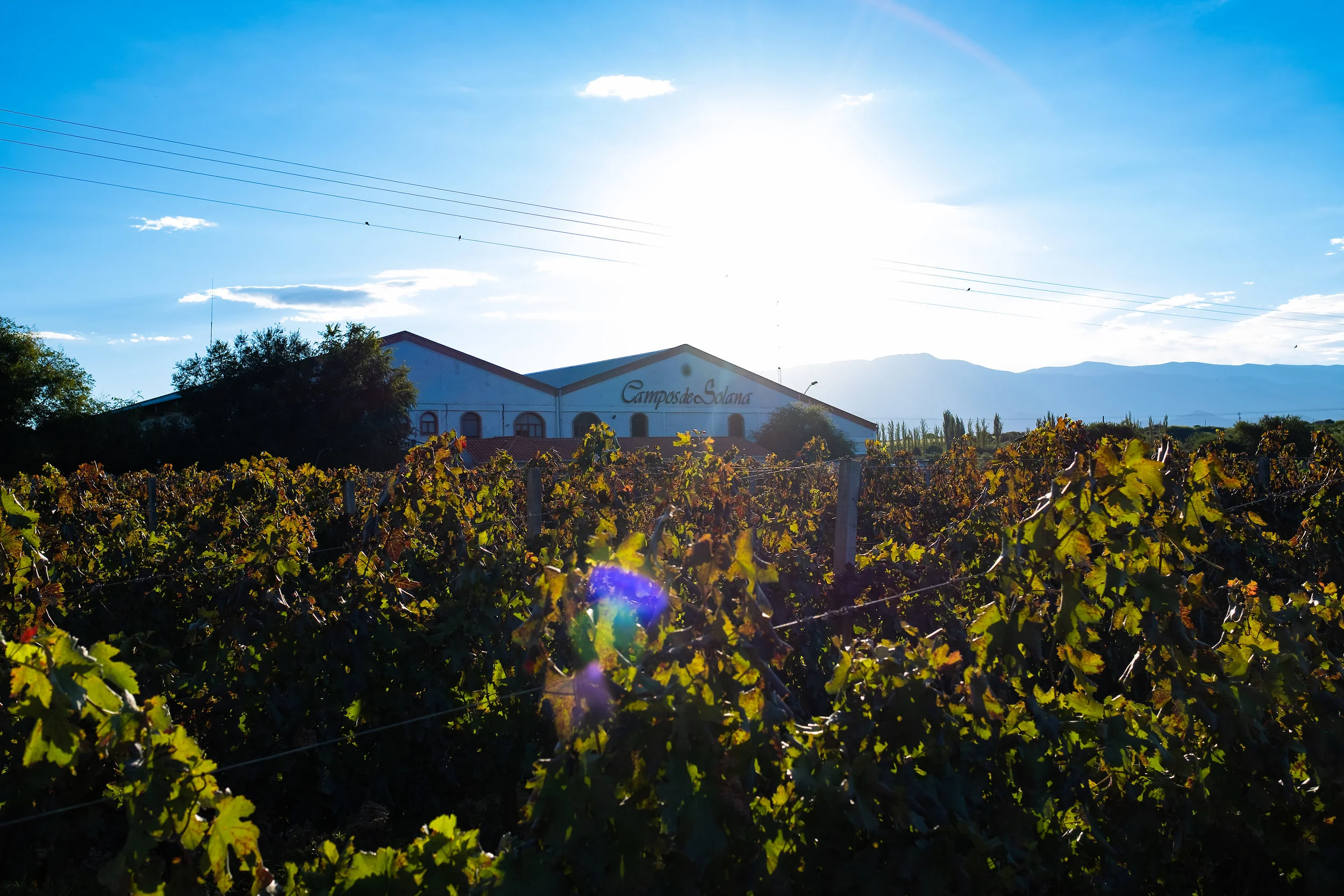 Website (26 van 29).jpg