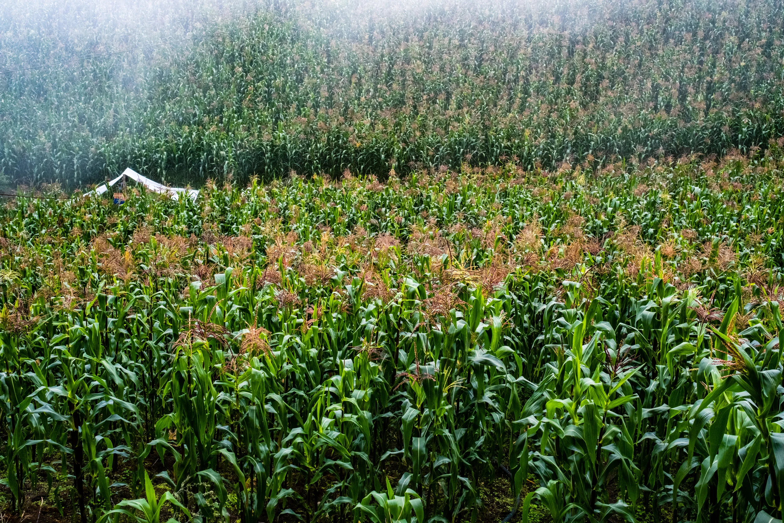 Website (2 van 29).jpg