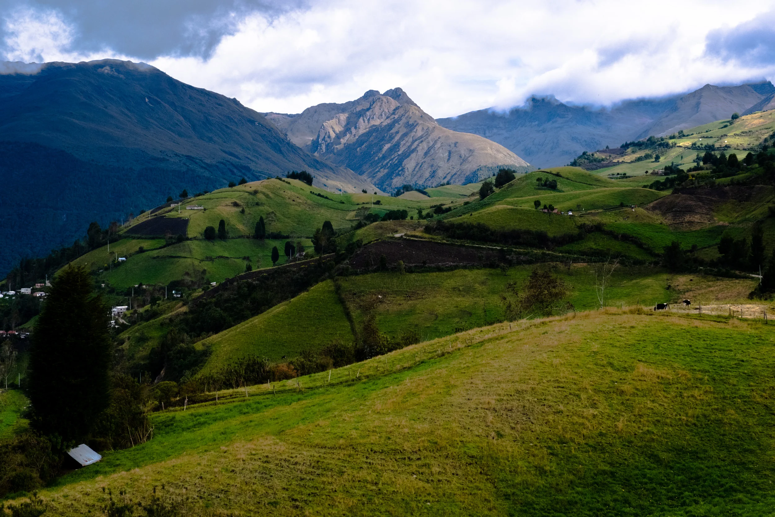 Website (9 van 29).jpg