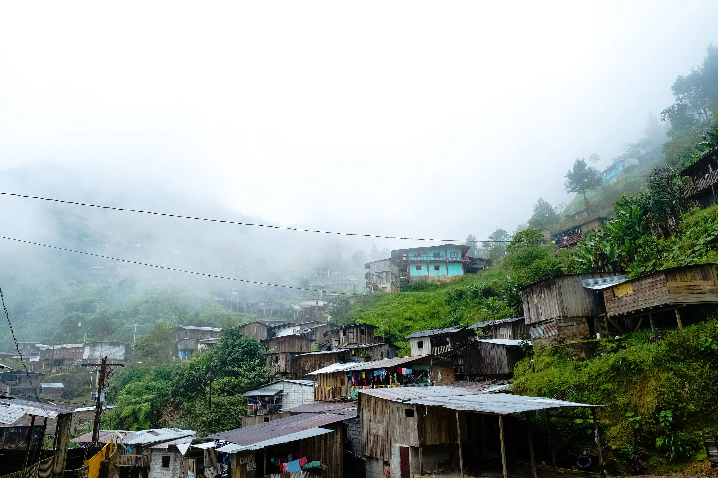 Website (15 van 29).jpg