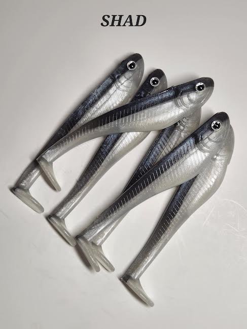 SHAD.jpg