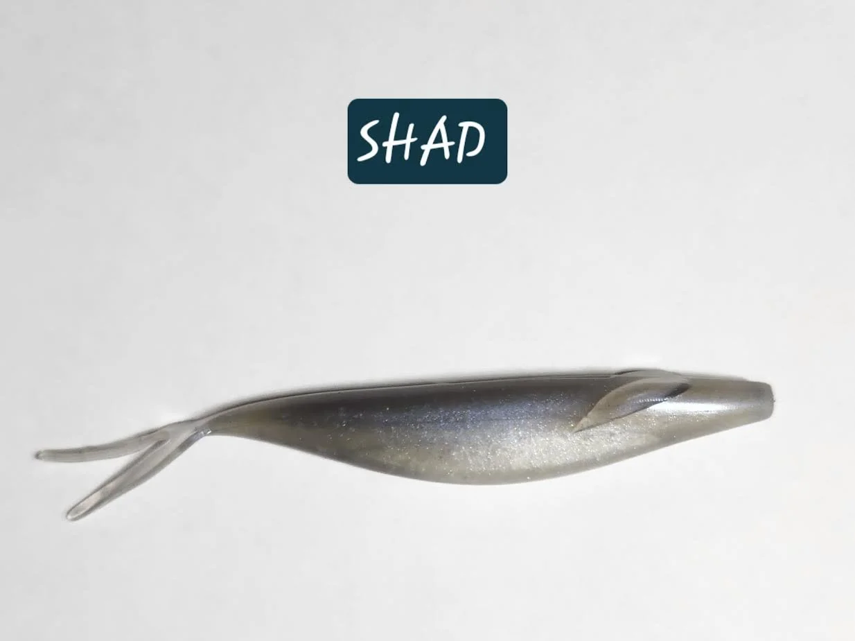 shad.jpg