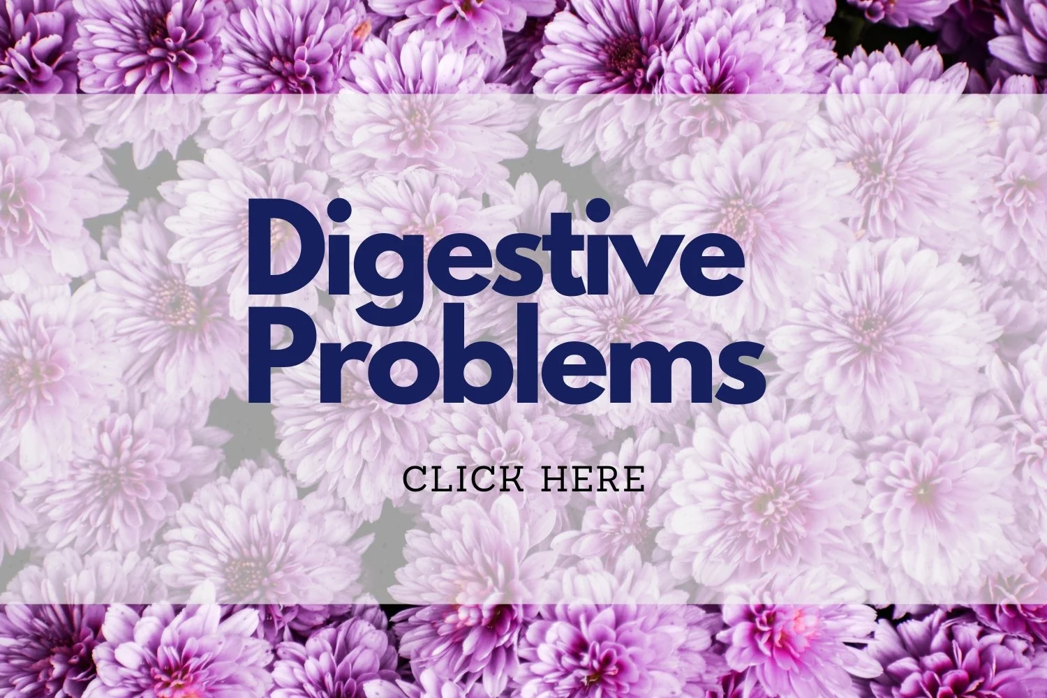 Functional Medicine Acupuncture Santa Clara & San Jose