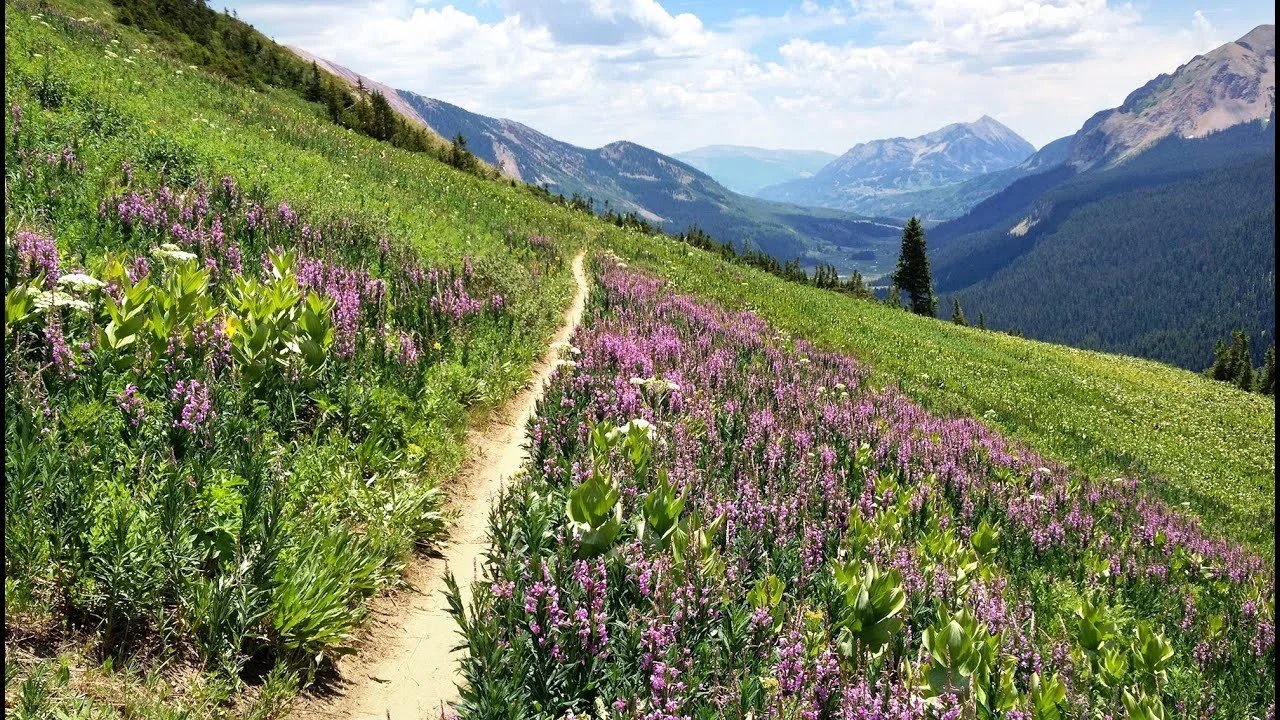Crested Butte - MTB