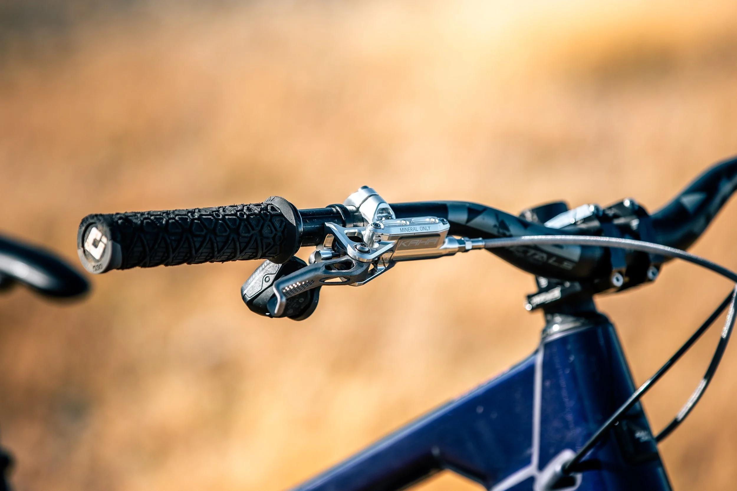 162A7496.jpg