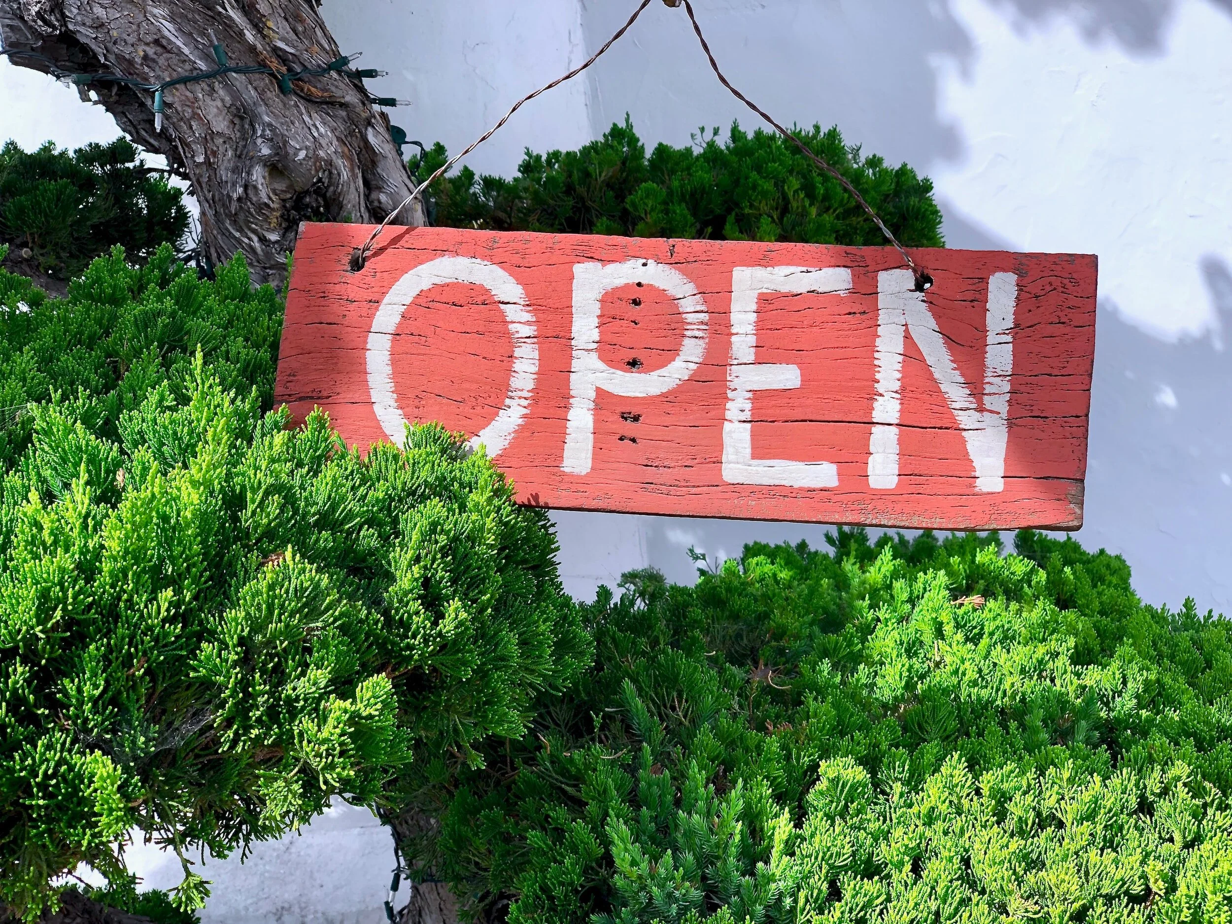 Medicare Open Enrollment for 2024