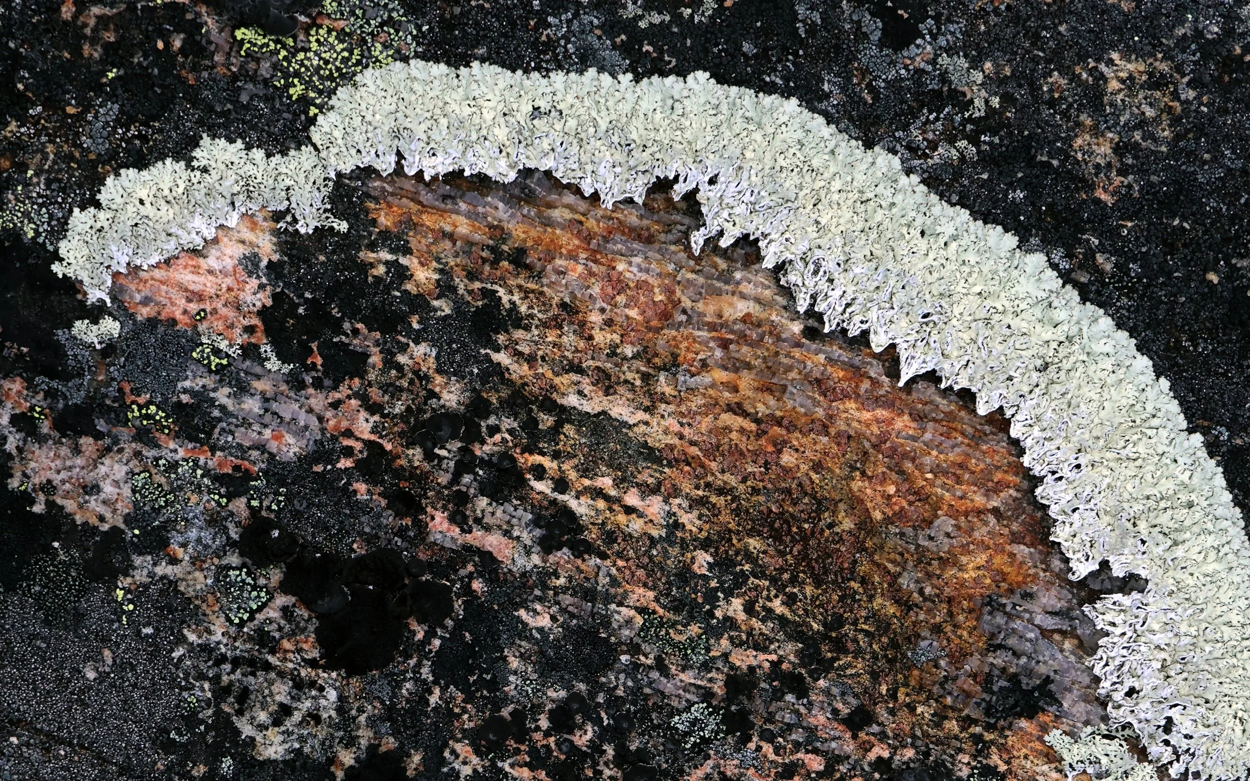 October Newsletter: Flaherty NYC Fall 2022 Full Program Announced!