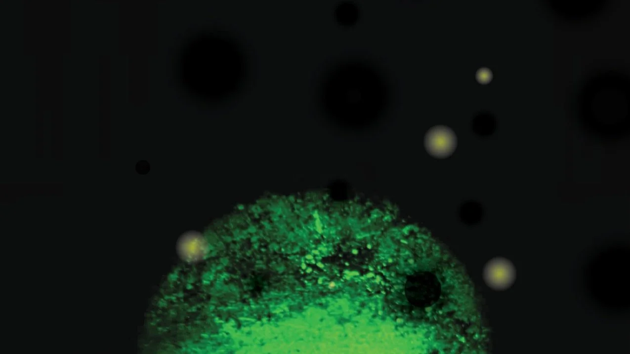  April 2024: 69th Seminar Art by Nipan Oranniwesna, Programmers, New Fellowship Fund