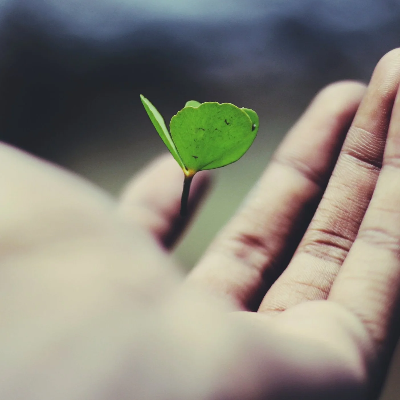 Endowment Shows Strong Growth