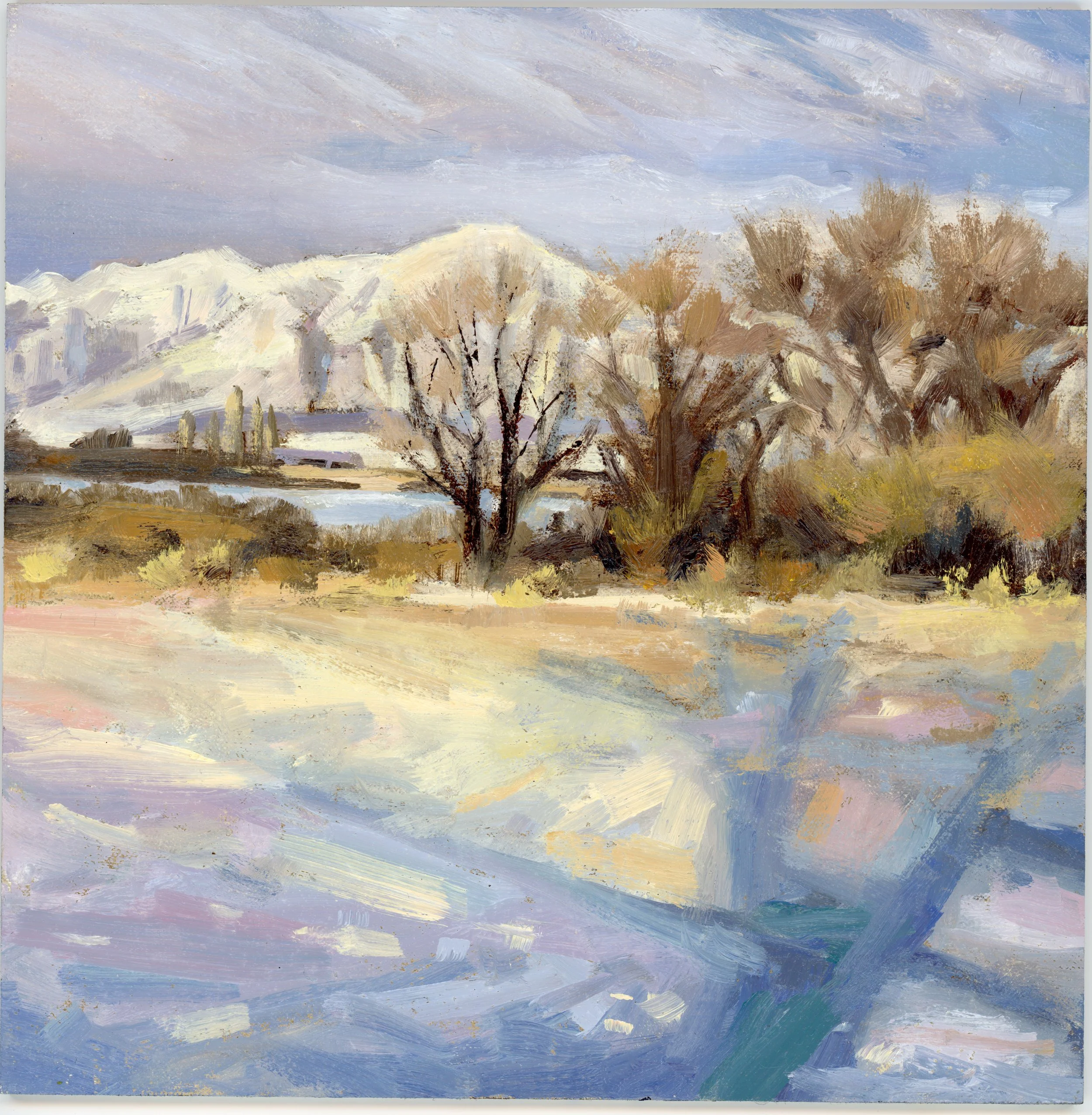Long Winter Light