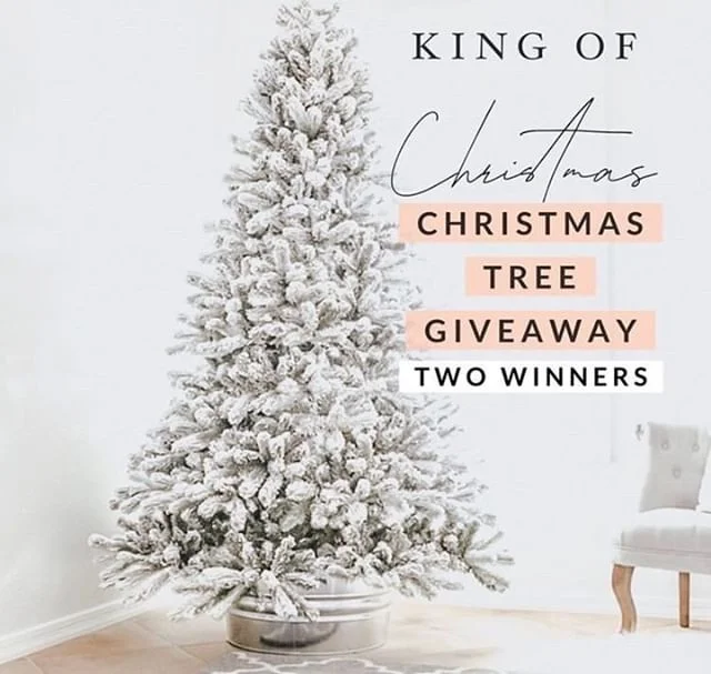 🎄KING OF CHRISTMAS GIVEAWAY TWO WINNERS!!!!!🌲⠀⠀⠀⠀⠀⠀⠀⠀⠀
📣I&rsquo;ve teamed up with some amazing bloggers to gift 🎁 two of you a Christmas Tree from King of Christmas OR $500 PayPal Cash option for each winner 😱😱 say what!?!? ⠀⠀⠀⠀⠀⠀⠀⠀⠀
.⠀⠀⠀⠀⠀⠀⠀⠀⠀