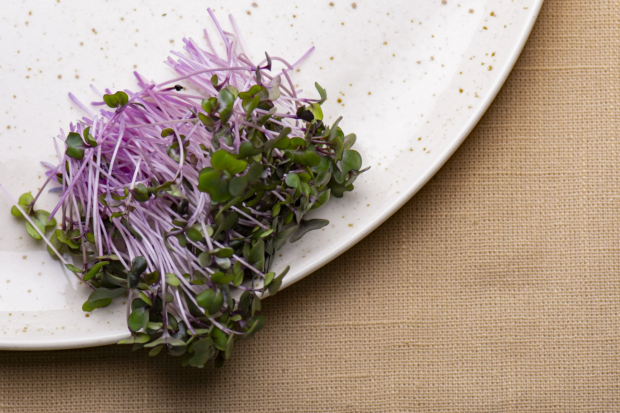 RedCabbage-2-Edit.jpg