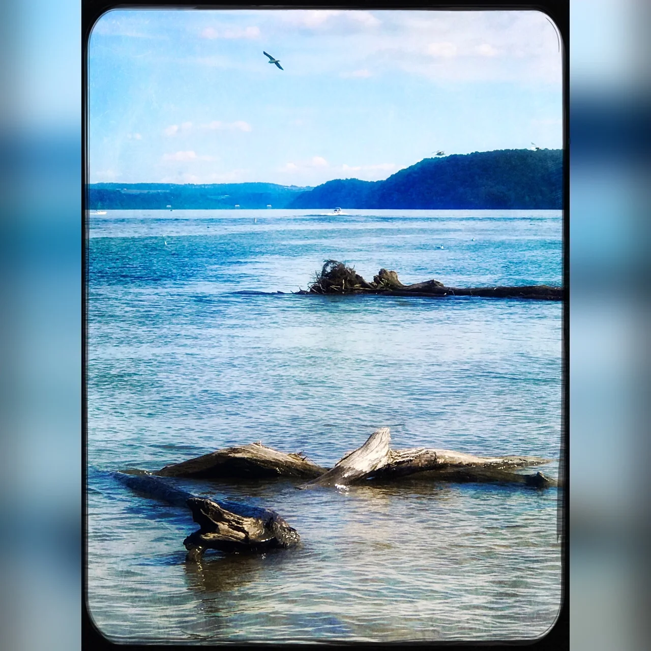 Enlight60.jpeg