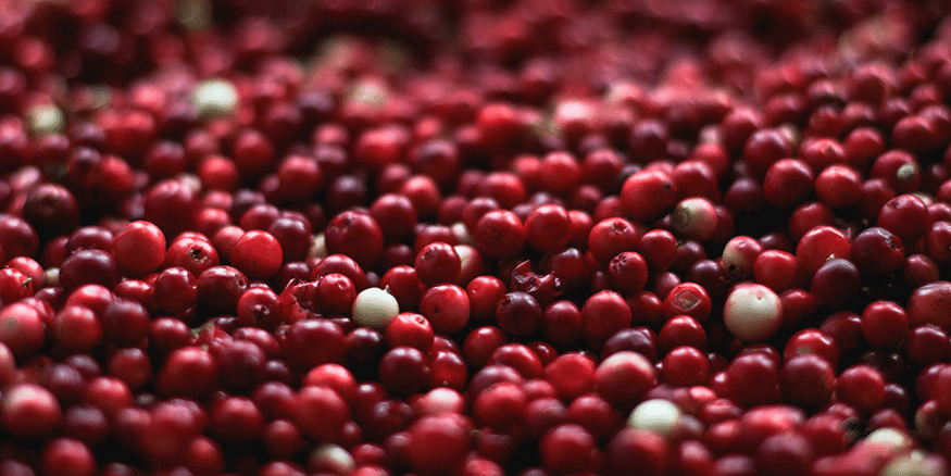 Cranberry.png