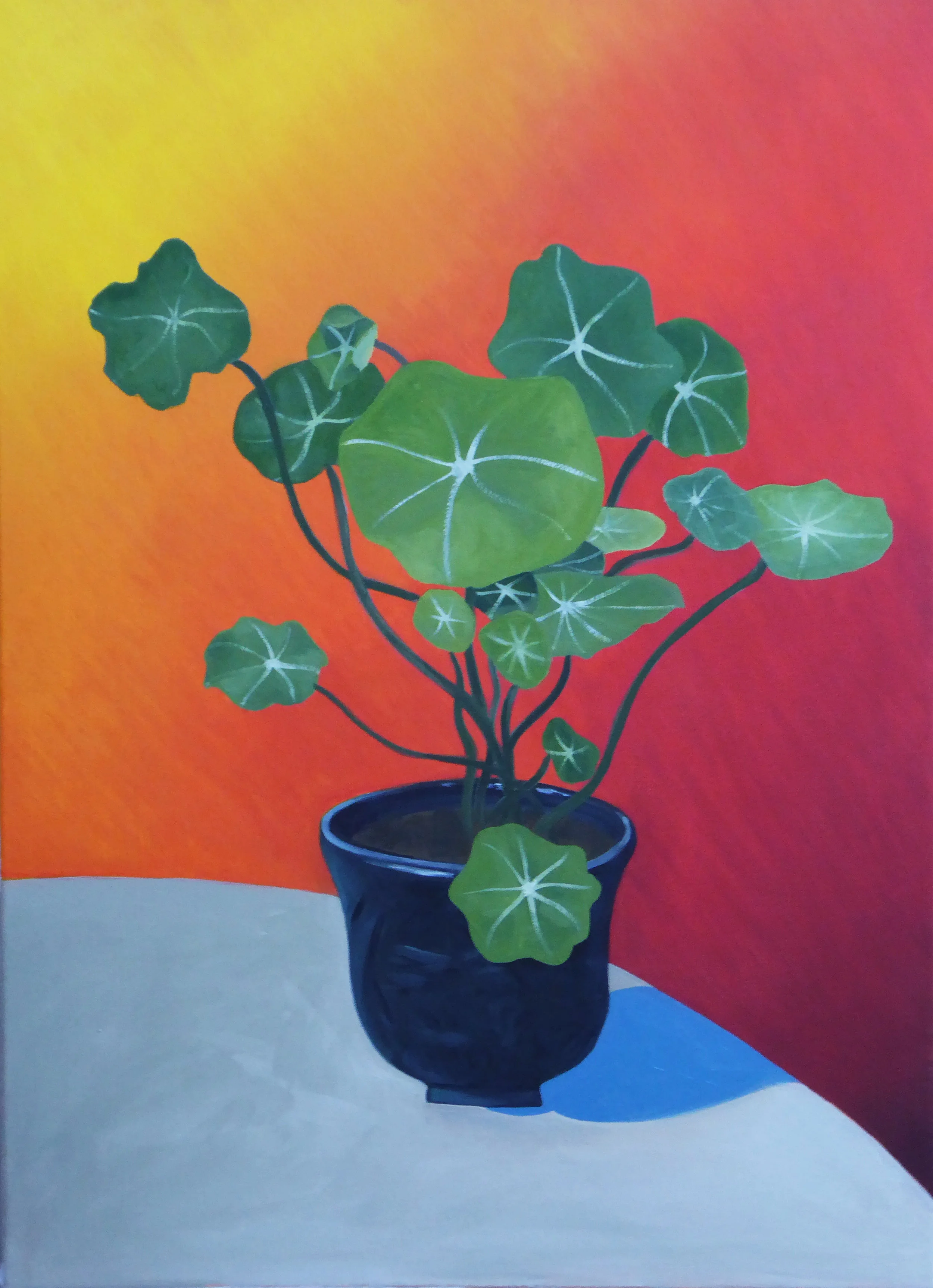 Nasturtium 