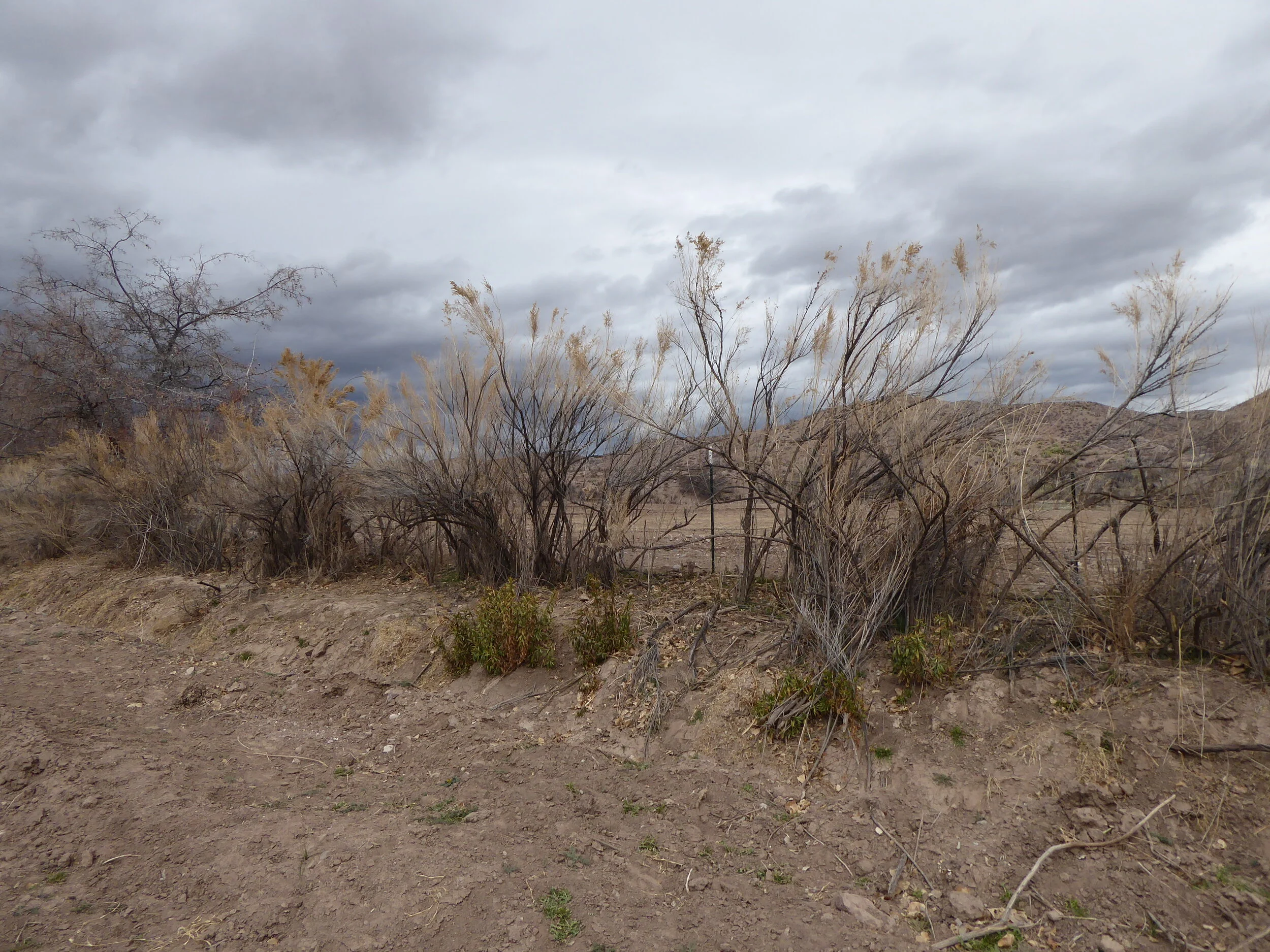 Ominous Clouds, New Mexico