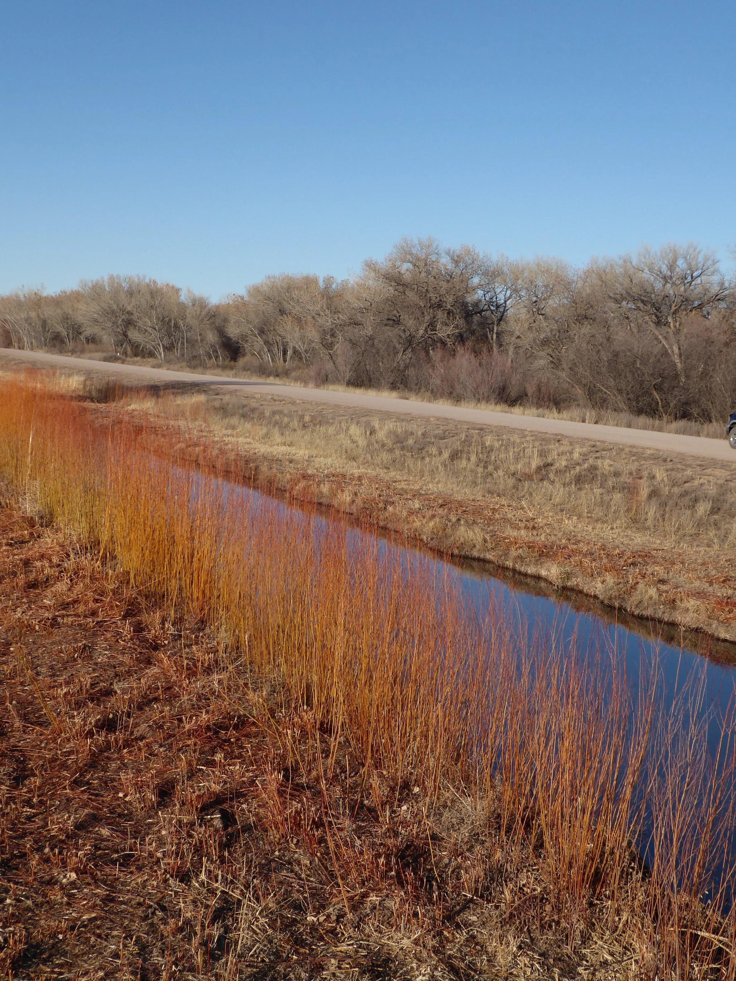 Bosque del Apache National Wildlife Refuge