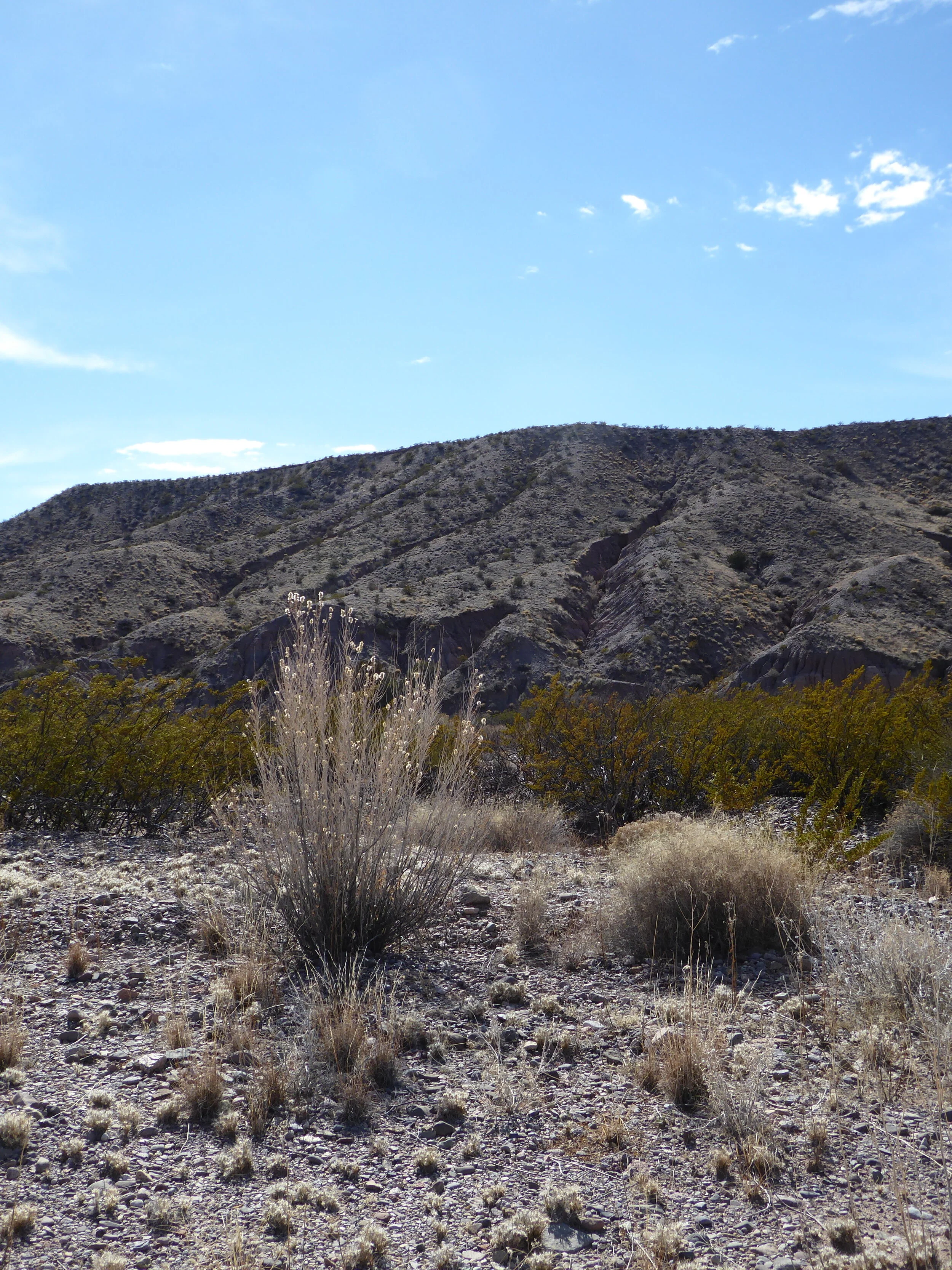 the beginning or the end