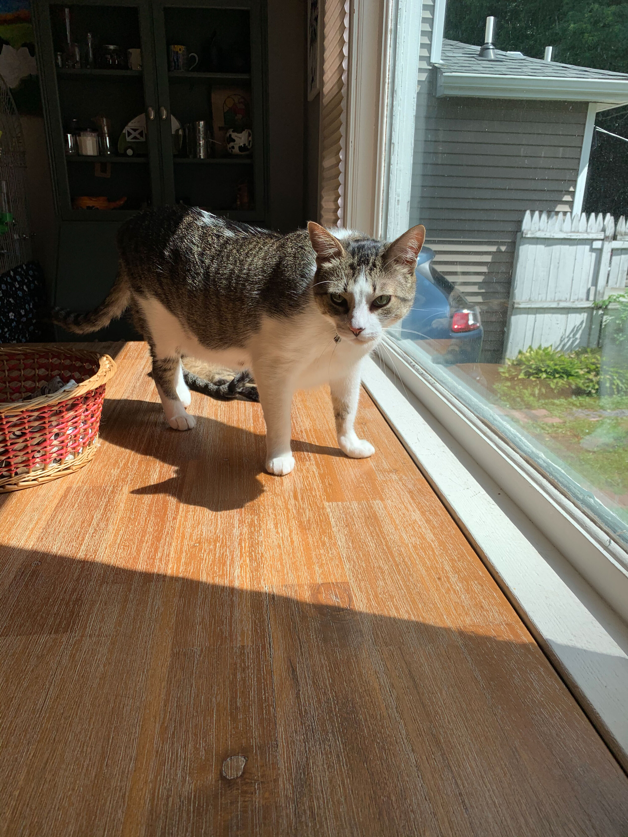 IMG_4748.jpeg