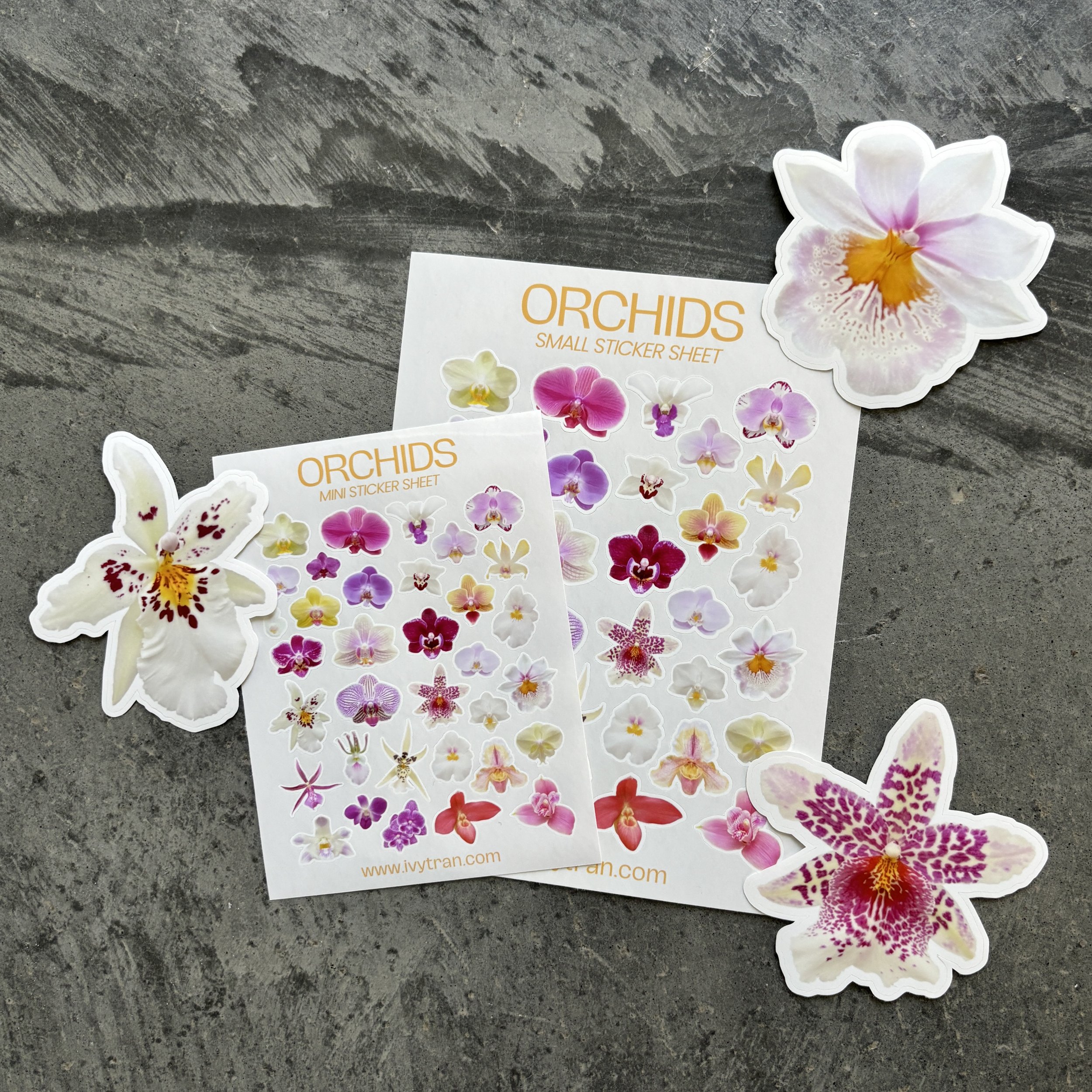 orchid stickers