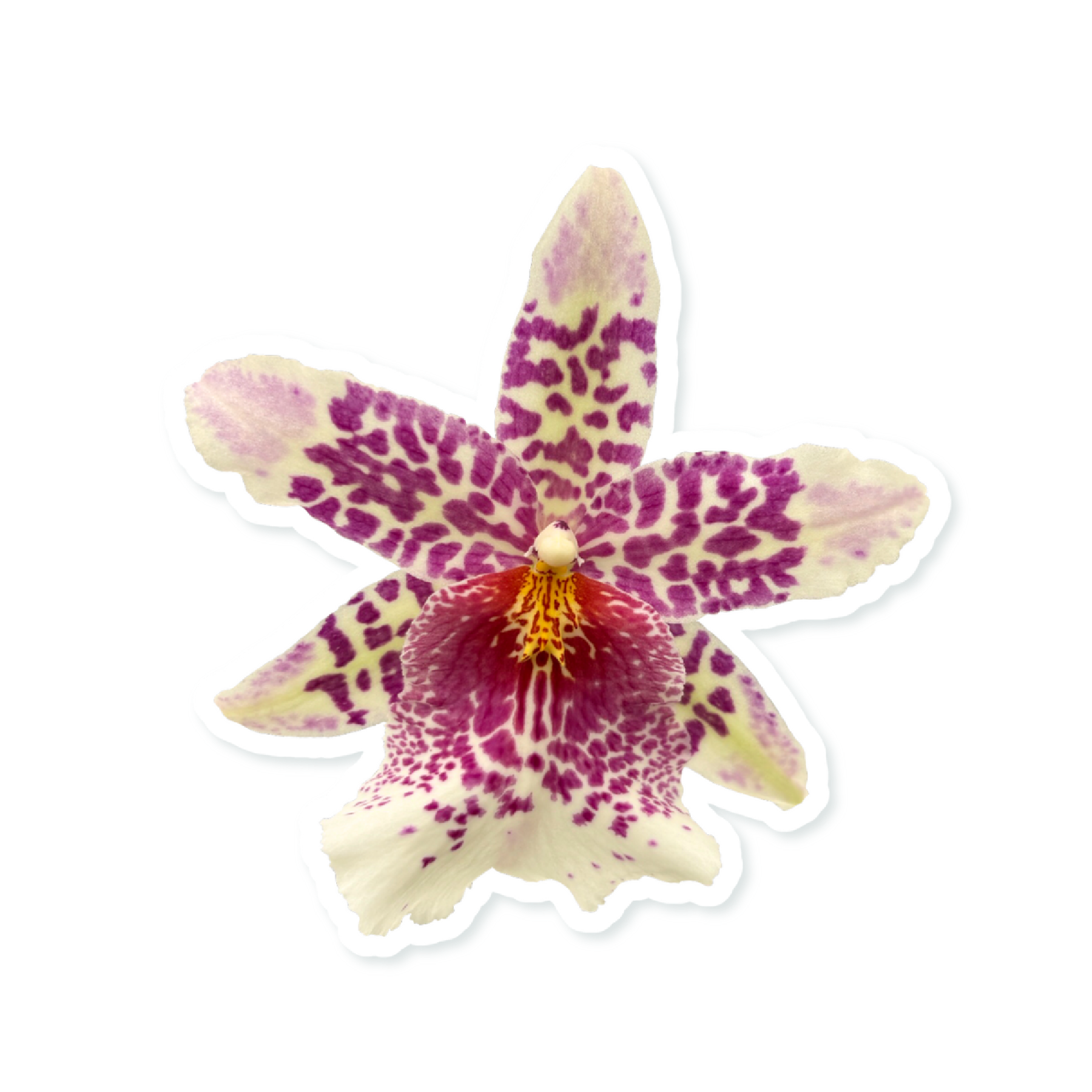F33C0F47-71A6-4AFA-B2F8-7B1E78EAB2E2.png