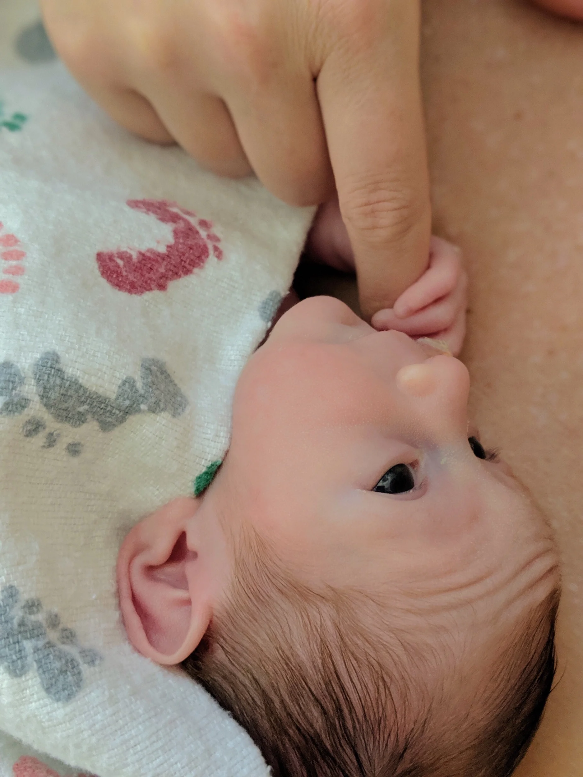 I don’t want to be here.