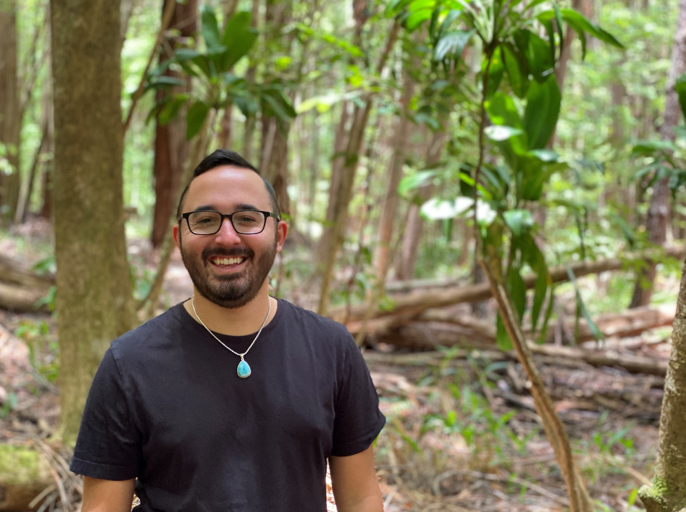 The Wisdom of the Wind