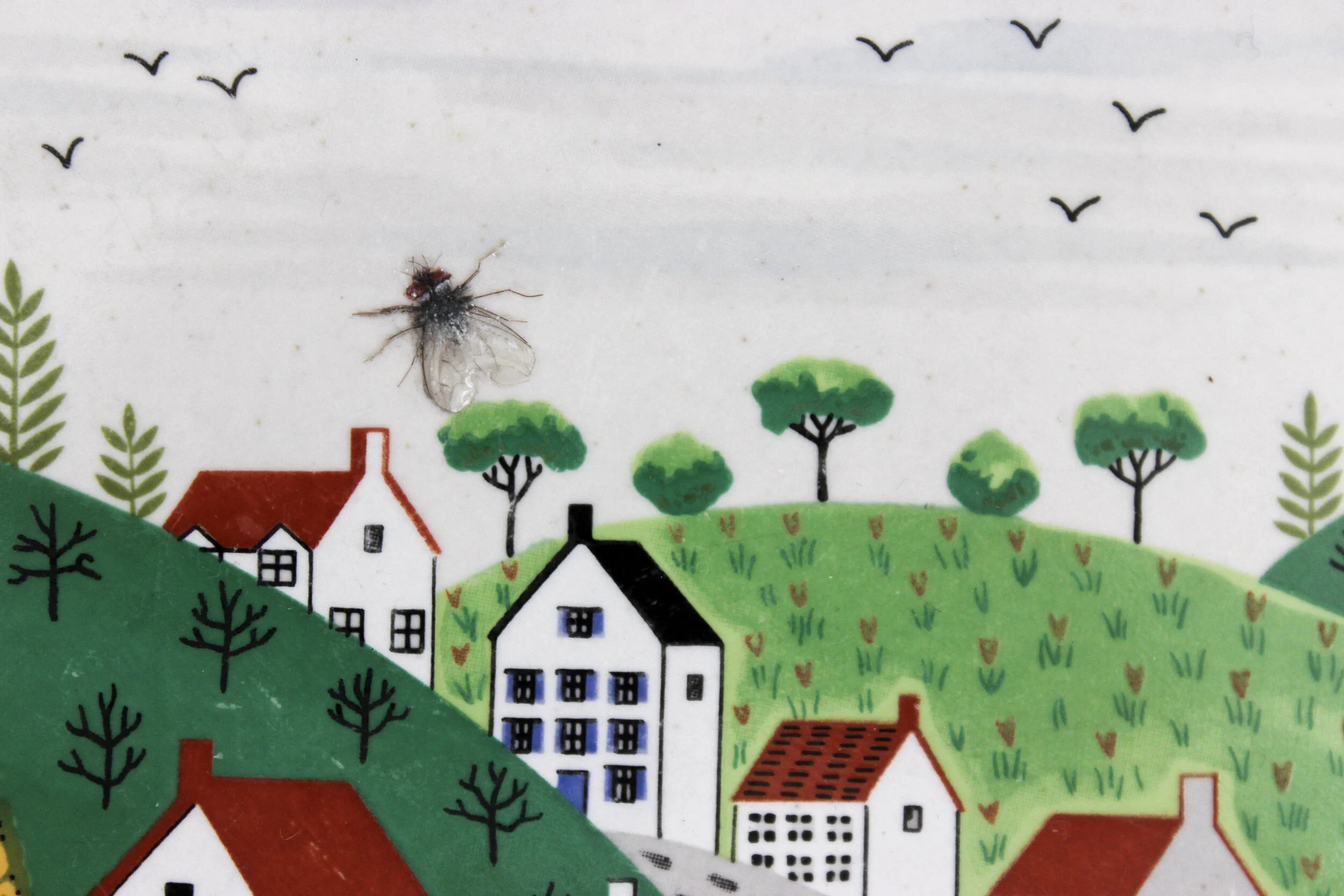 invasion- detail