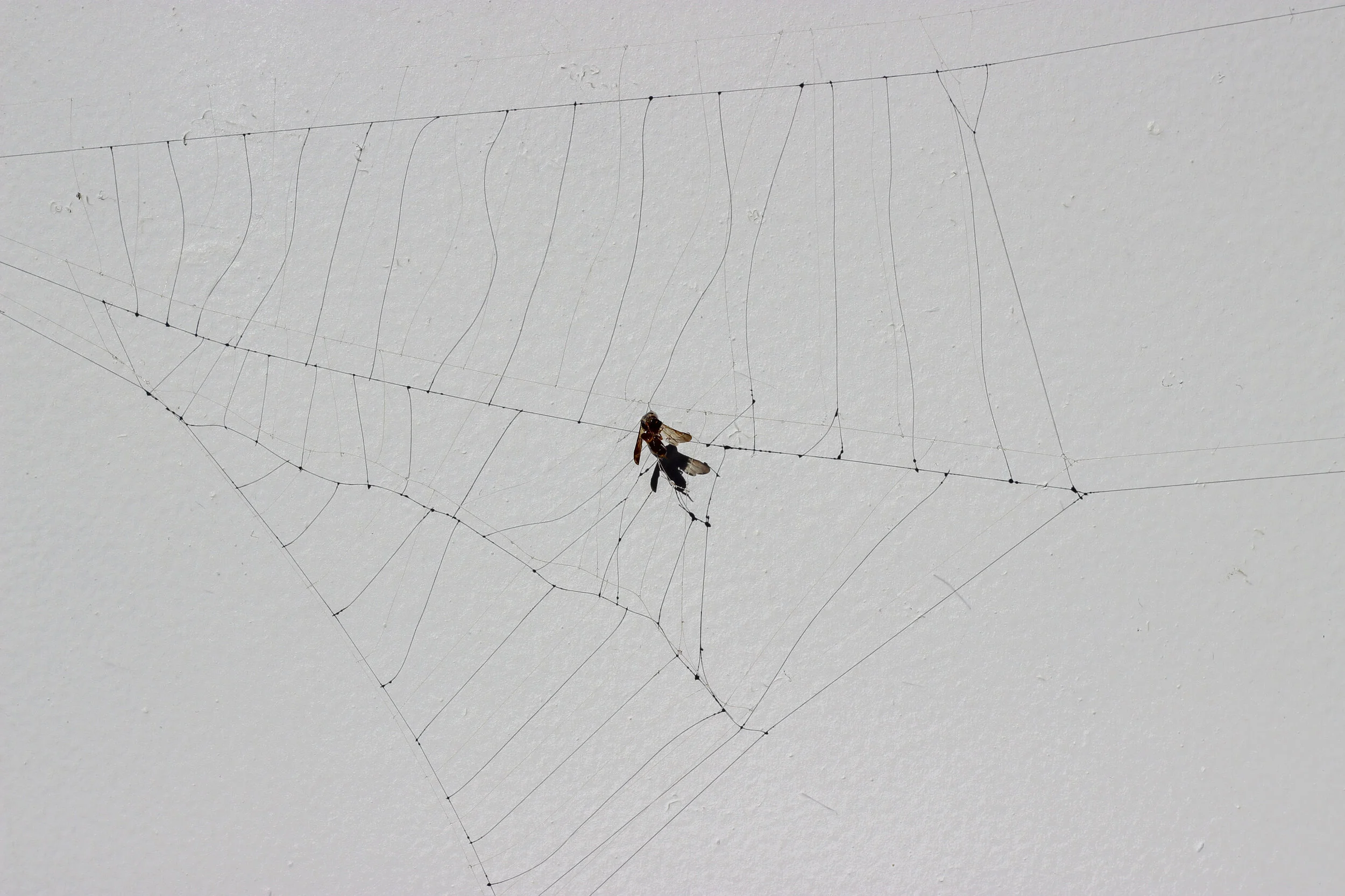 web III