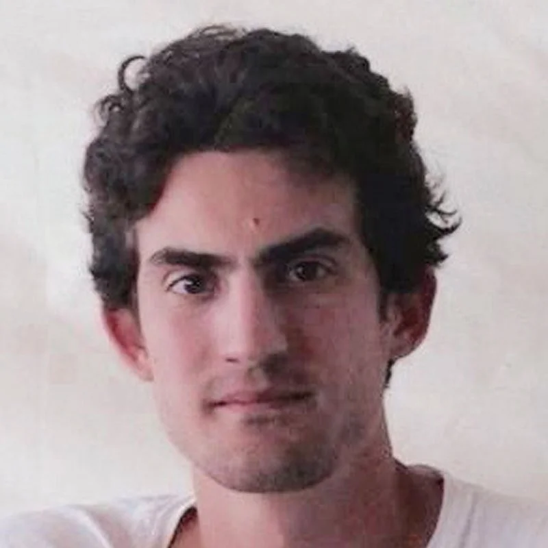 Luigi Ambrosi - 
Georgetown University