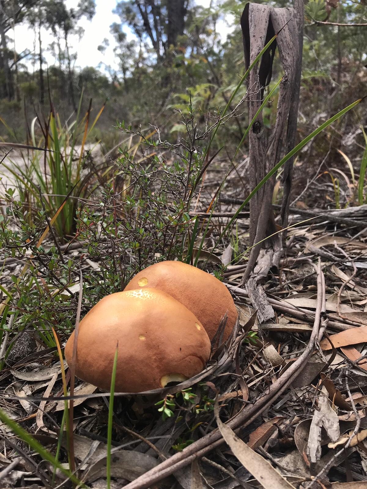 BayofFires1.jpg