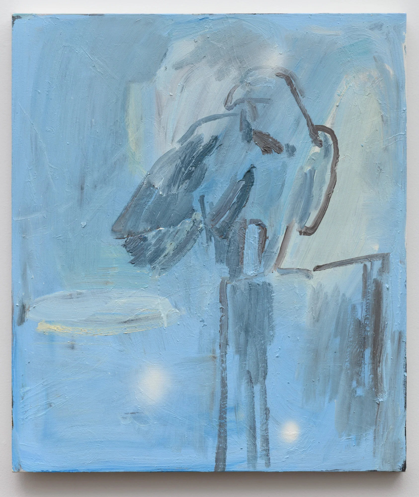  [#Beginning of Shooting Data Section]Image Size:L (8256 x 5504), FX2021/03/11 13:47:45.93Time Zone and Date:UTC-8, DST:ONLossless Compressed RAW (14-bit)Artist:Alan ShafferCopyright:2020Nikon D850Lens:VR 24-120mm f/4GFocal Length:92mmFocus Mode:AF-S