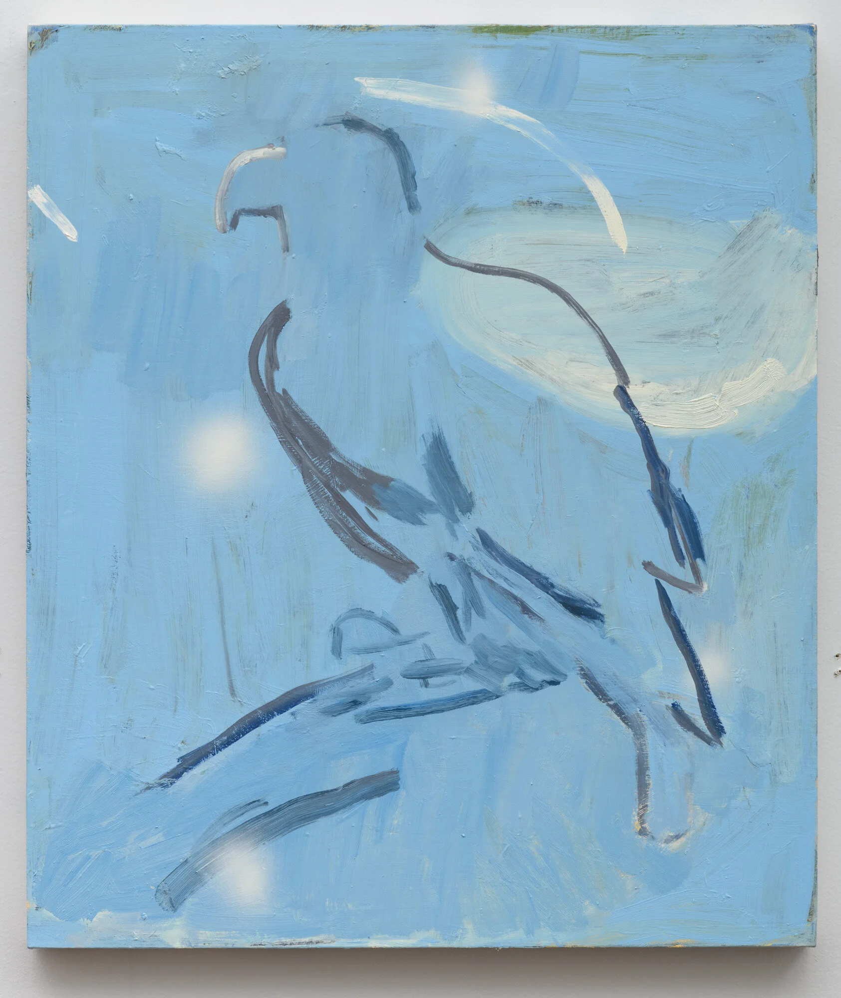  [#Beginning of Shooting Data Section]Image Size:L (8256 x 5504), FX2021/03/11 13:49:13.87Time Zone and Date:UTC-8, DST:ONLossless Compressed RAW (14-bit)Artist:Alan ShafferCopyright:2020Nikon D850Lens:VR 24-120mm f/4GFocal Length:95mmFocus Mode:AF-S