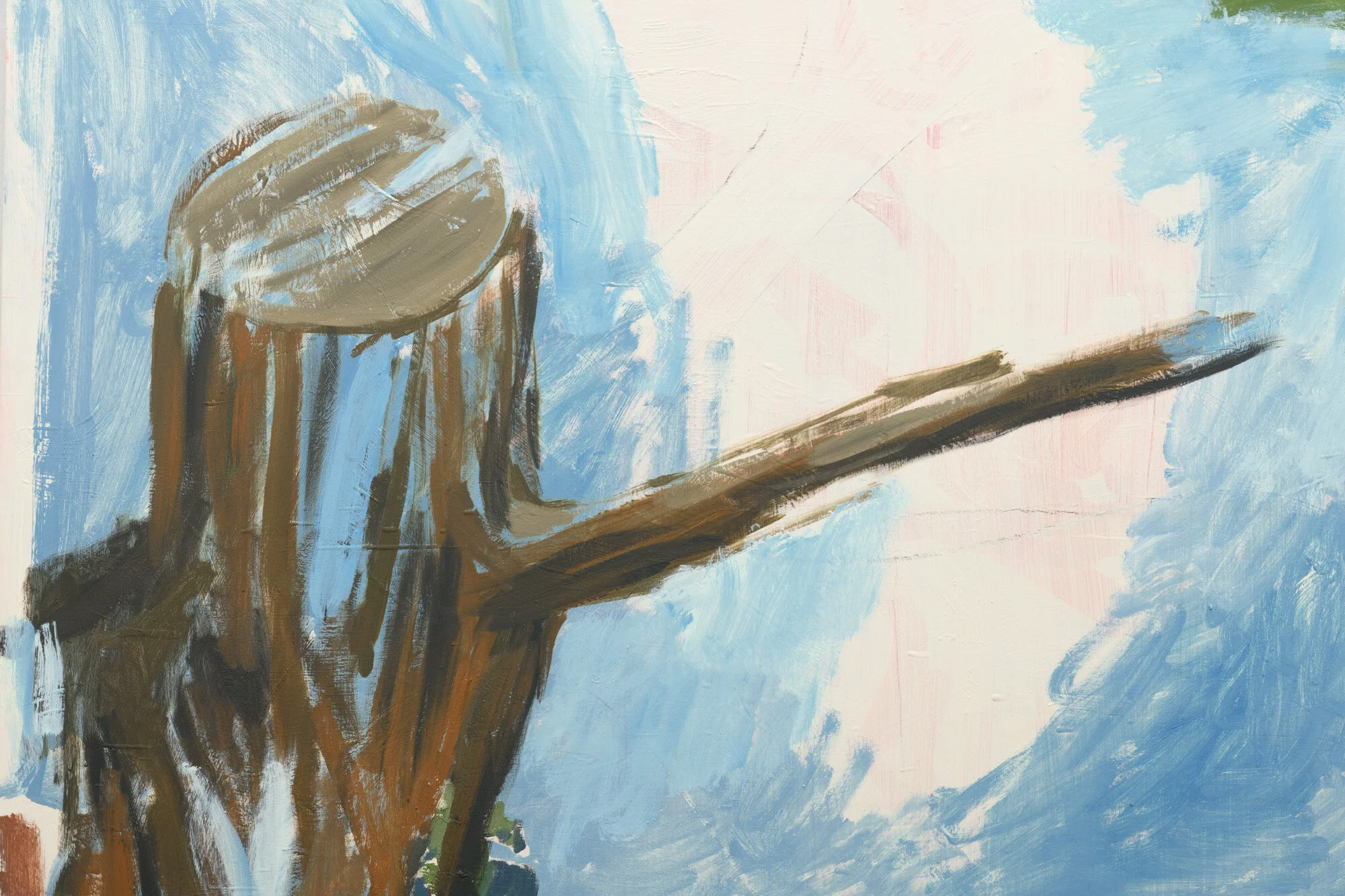  [#Beginning of Shooting Data Section]Image Size:L (8256 x 5504), FX2021/03/11 12:14:58.09Time Zone and Date:UTC-8, DST:ONLossless Compressed RAW (14-bit)Artist:Alan ShafferCopyright:2020Nikon D850Lens:VR 24-120mm f/4GFocal Length:86mmFocus Mode:AF-S