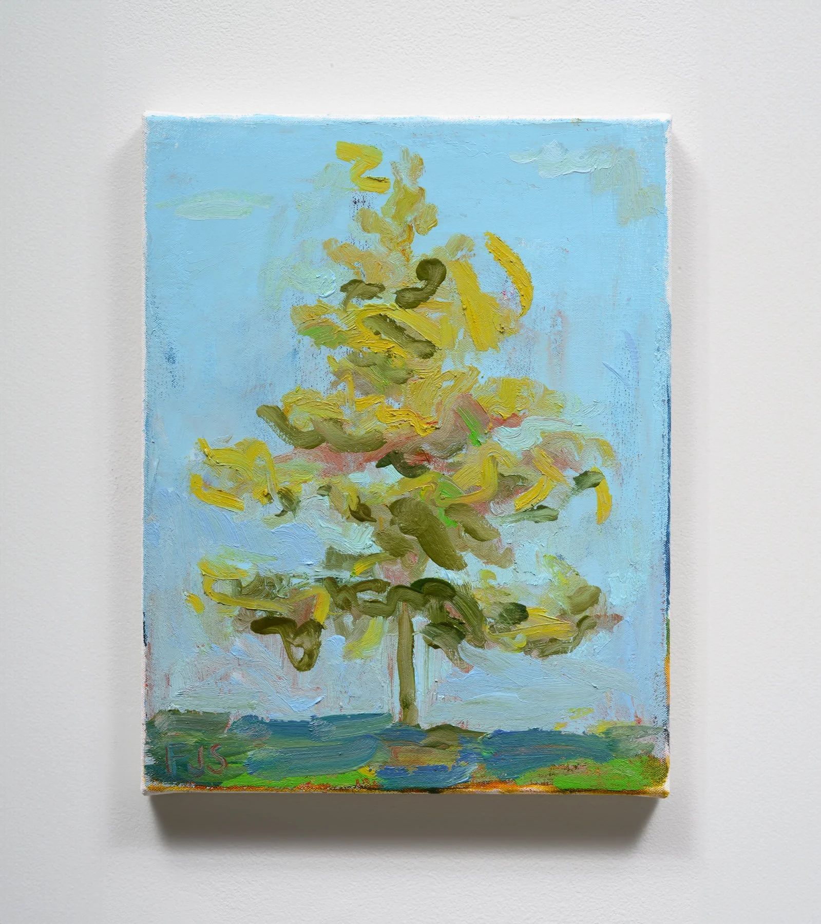 Redwood Tree_2024_frankjstockton-1800px.JPG