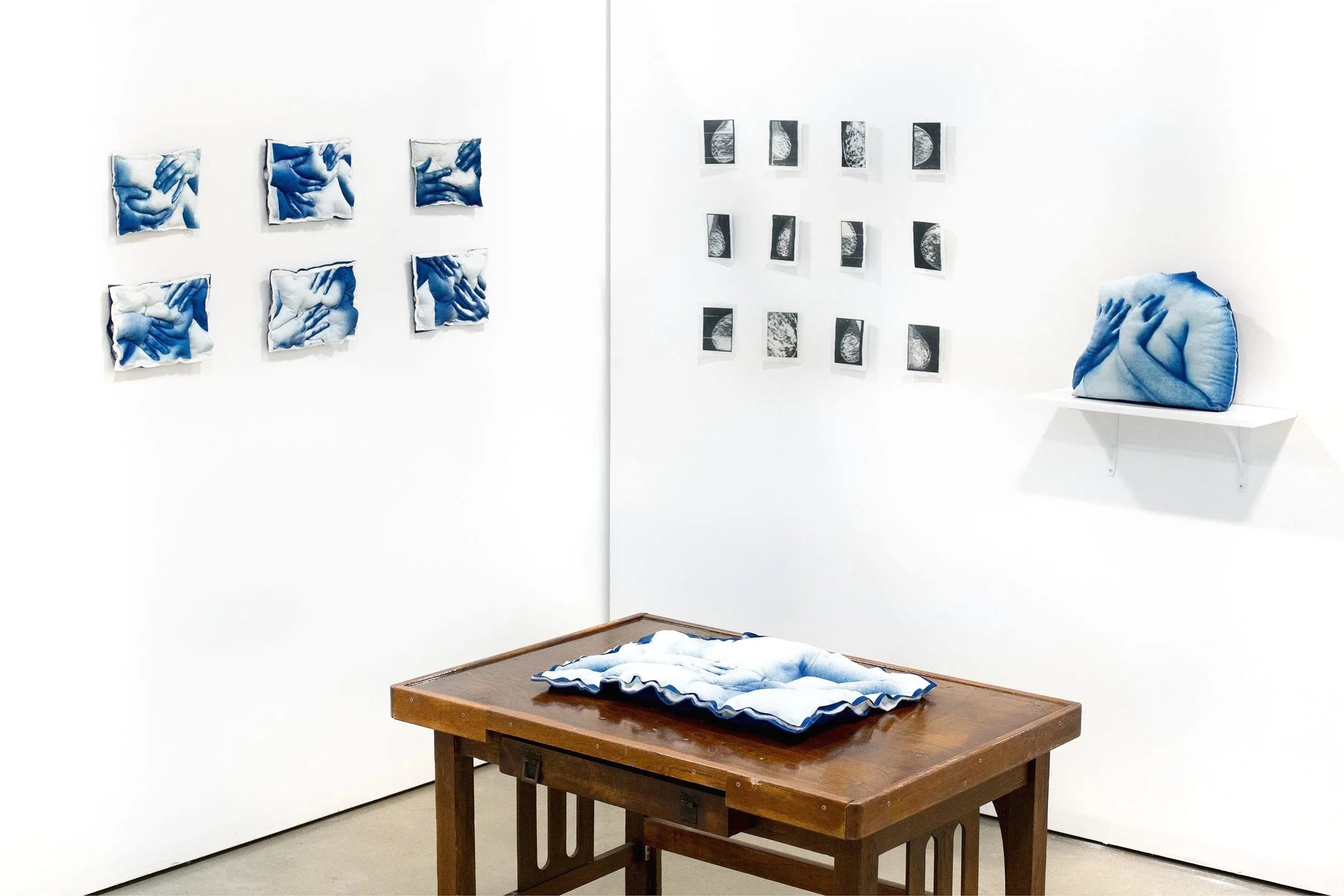 Tender Flesh Installation