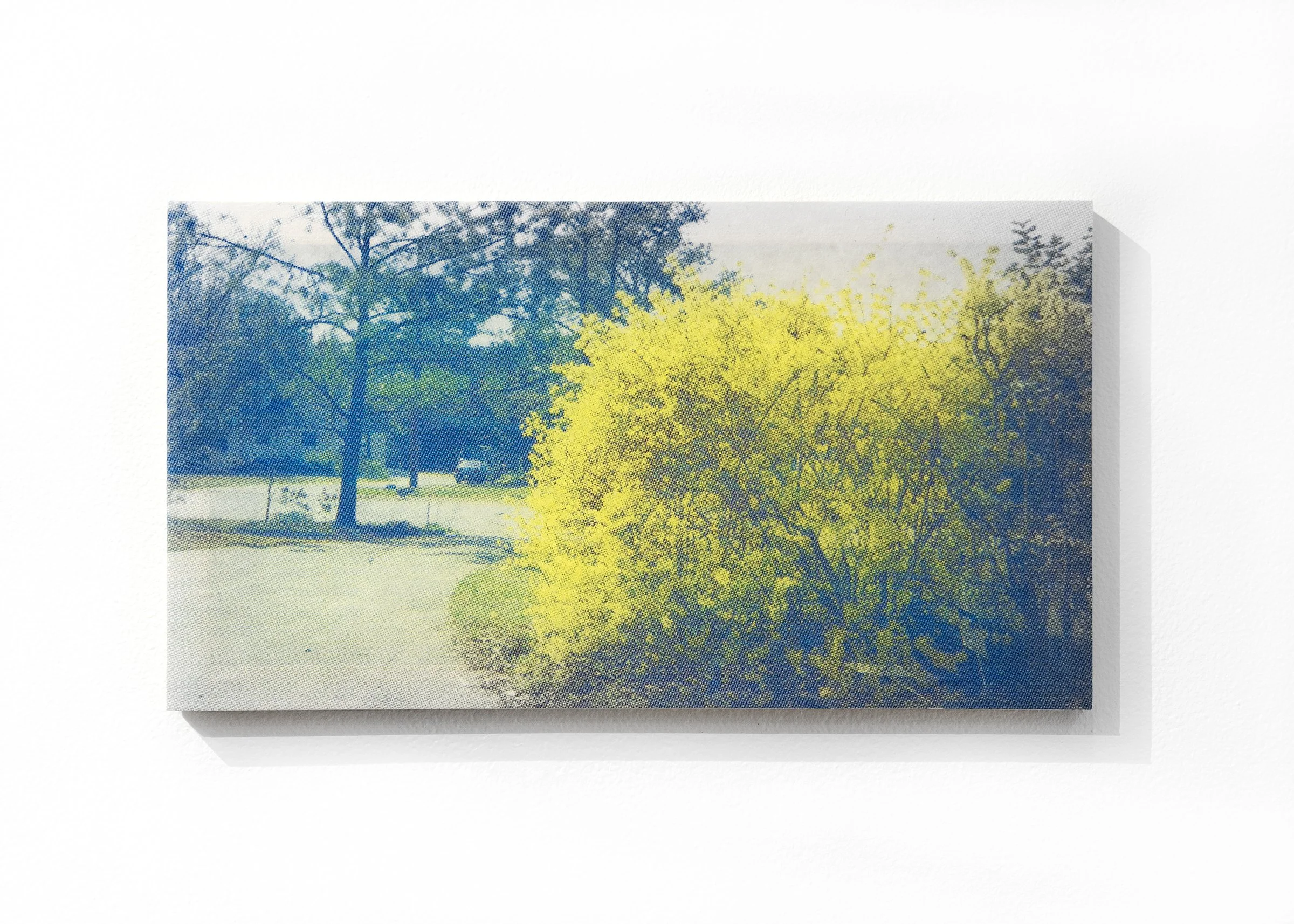 Yesterday's Flowers - Unfractured.jpg