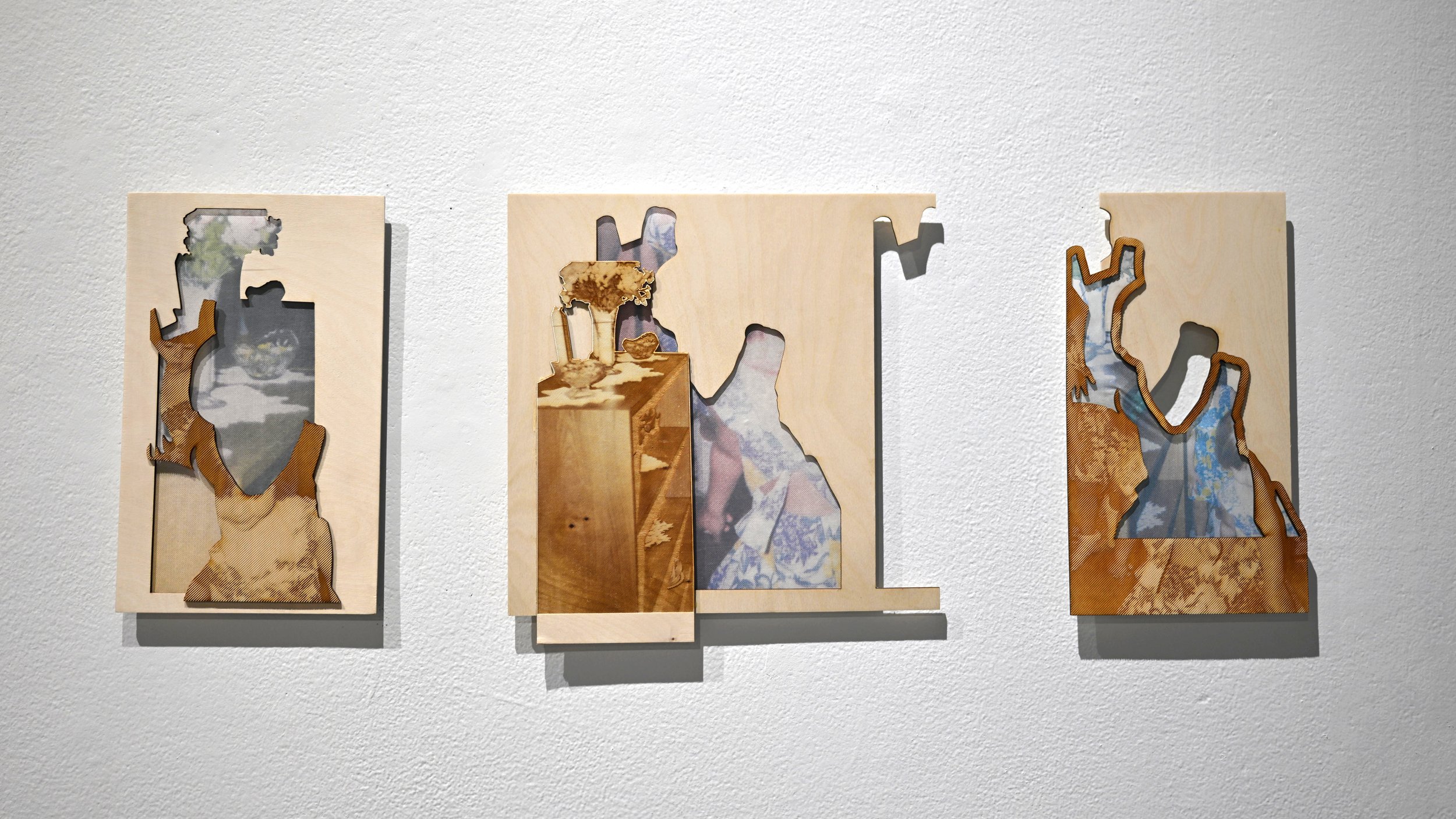 The bookcase

2025
laser cut on birch plywood, archival pigment print on Japanese wash, wheat starch glue