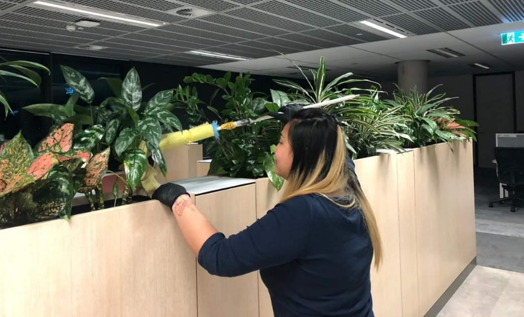 Super Cleaning North Shore