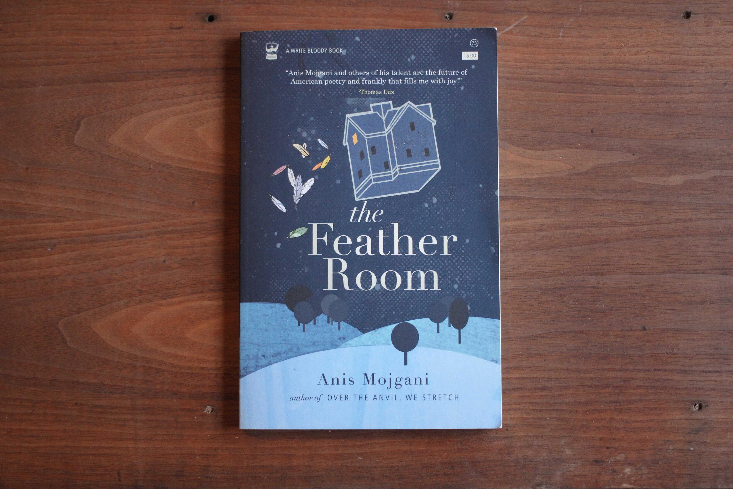 website book photo Feather room .jpg
