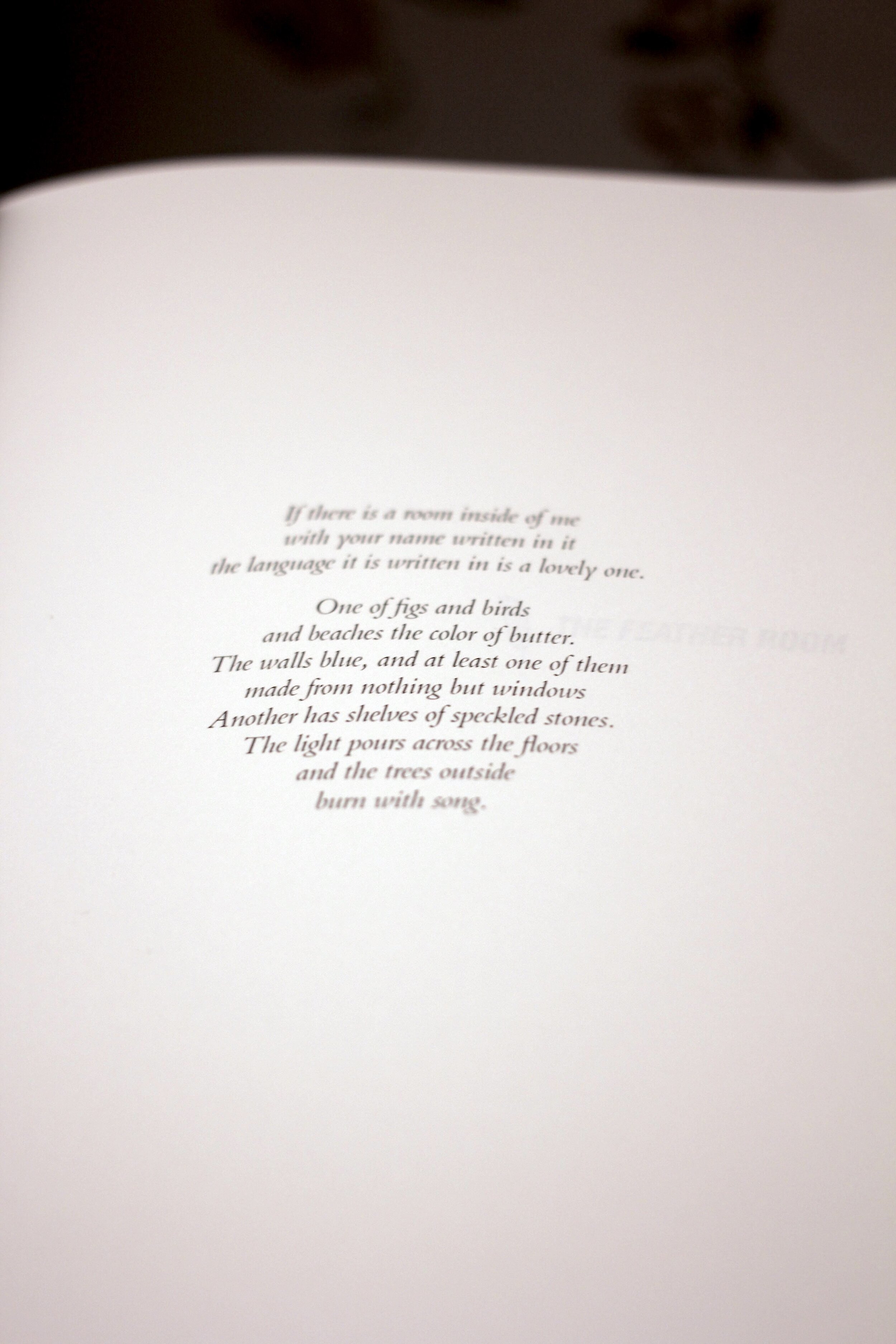Feather room pages 1.jpg
