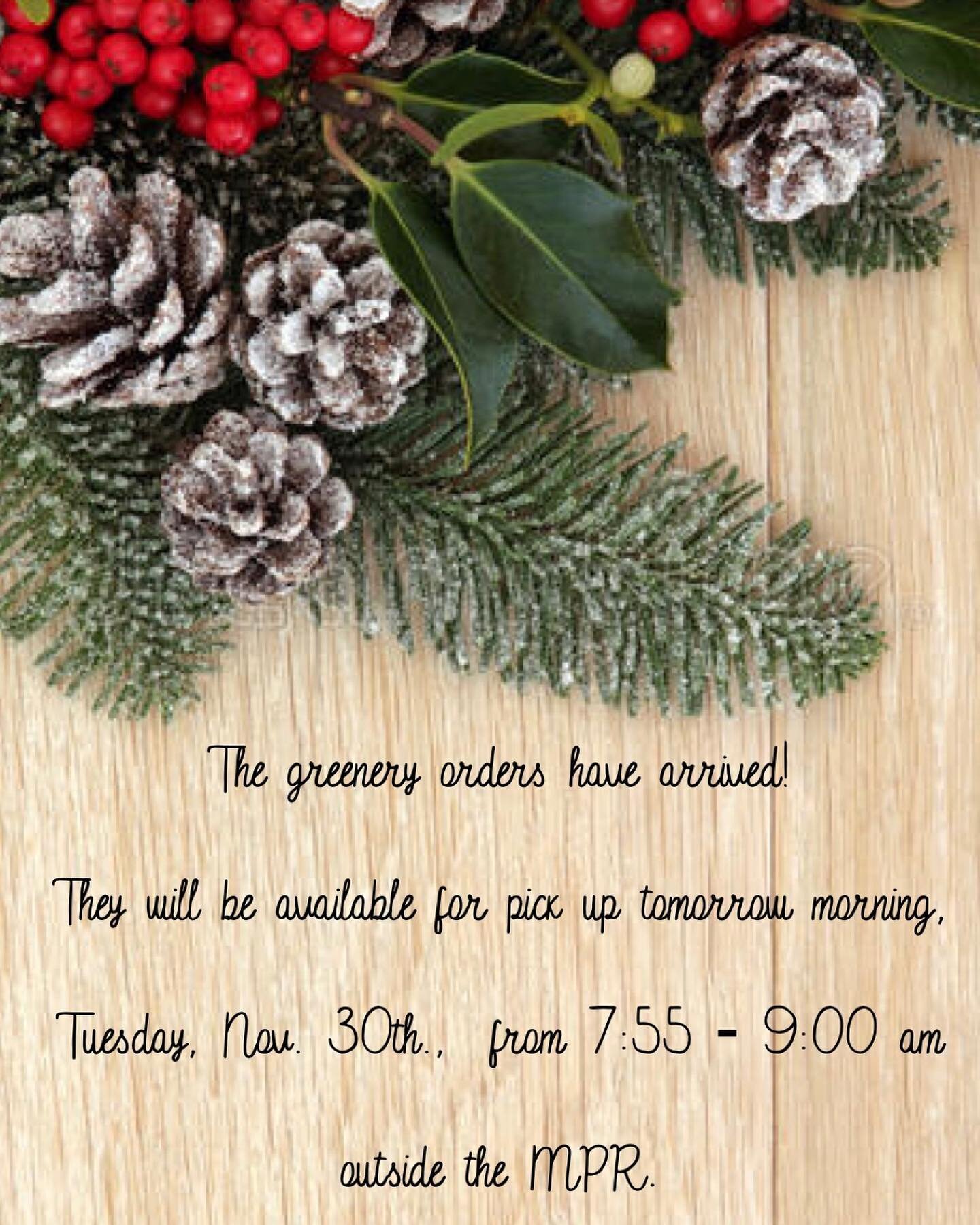 The greenery orders have arrived and will be available for pick up tomorrow morning, Tuesday, Nov. 30th., at morning drop off from 7:55 - 9:00 am outside the MPR.🐬🌲