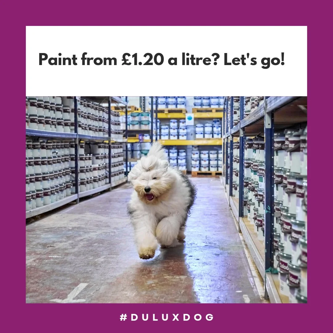 Whatever your half term decorating project, we've got the paint in store for you at a price you'll love!
Paint from just £1.20 a litre ♻️ 💚