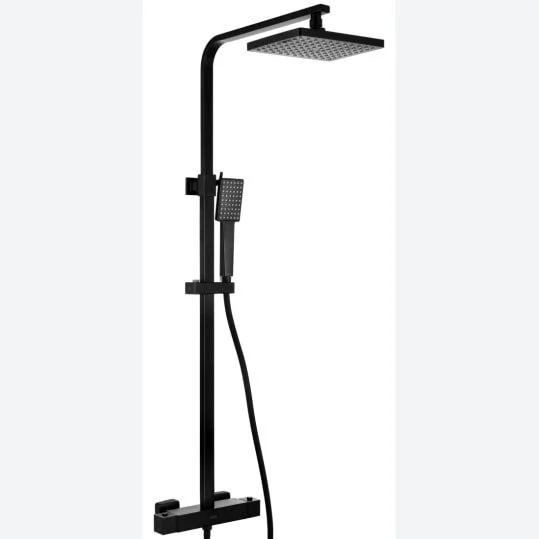 Black thermostatic shower, only &pound;100!!!