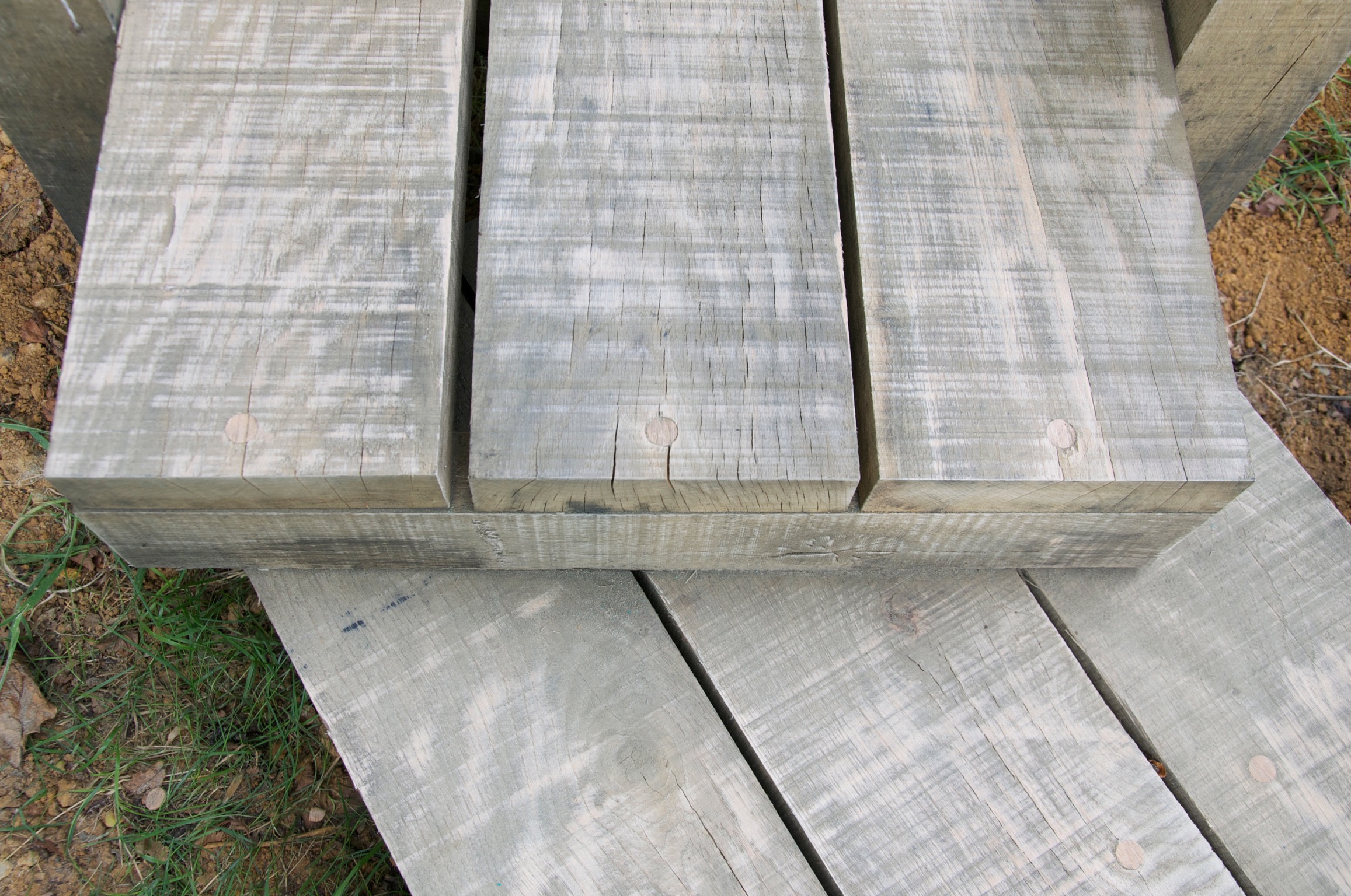 Timber_Yoreland__1139.jpg