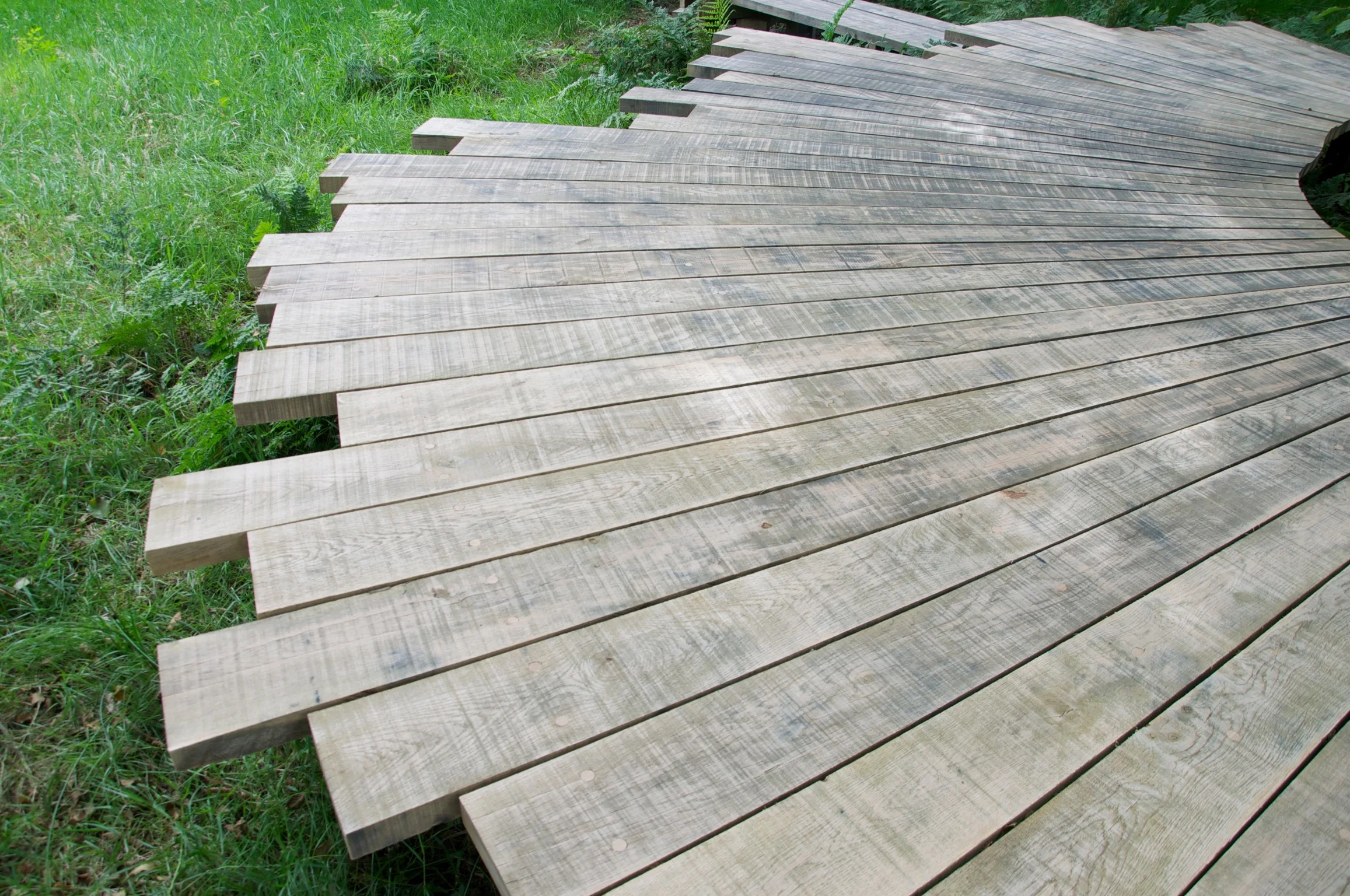 Timber_Yoreland__1125.jpg