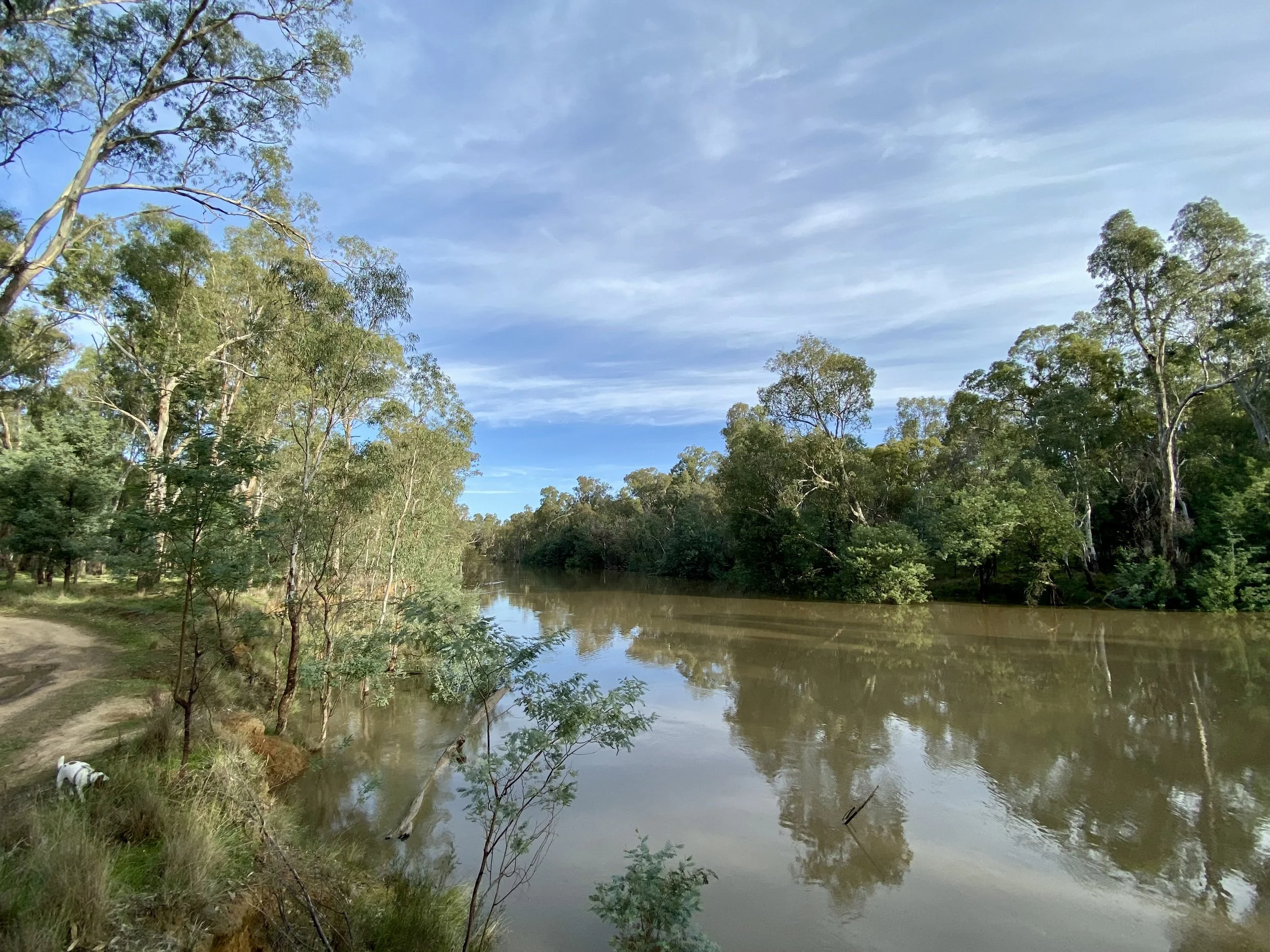 Goulburn River, Shepparton. Photo by Mel Stagg, 3rd May 2020