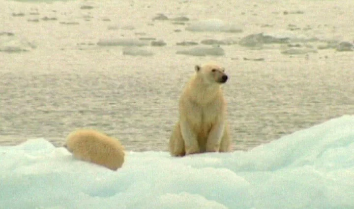 climate-change-college.jpg